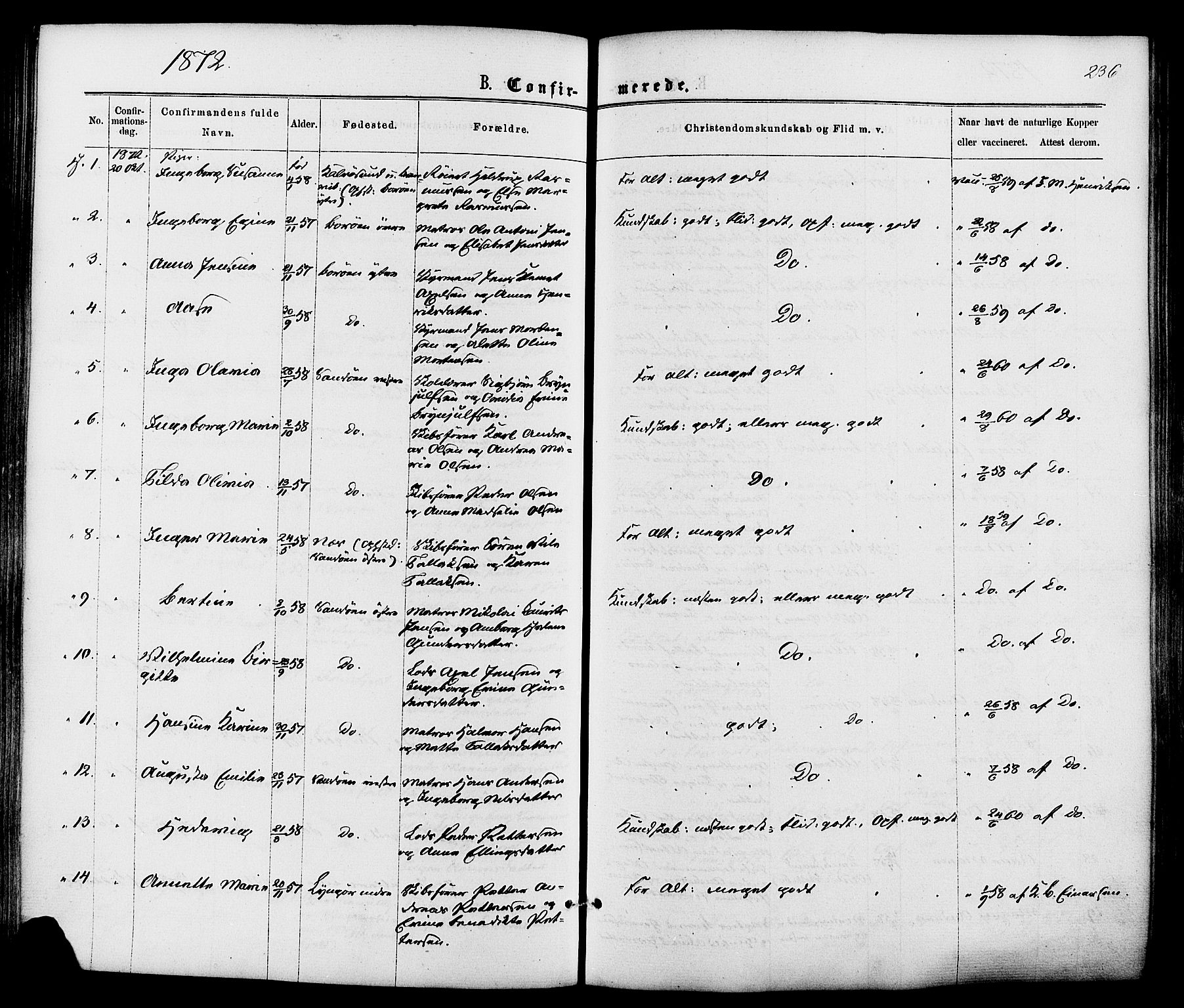 Dypvåg sokneprestkontor, AV/SAK-1111-0007/F/Fa/Faa/L0007: Parish register (official) no. A 7/ 1, 1872-1884, p. 236