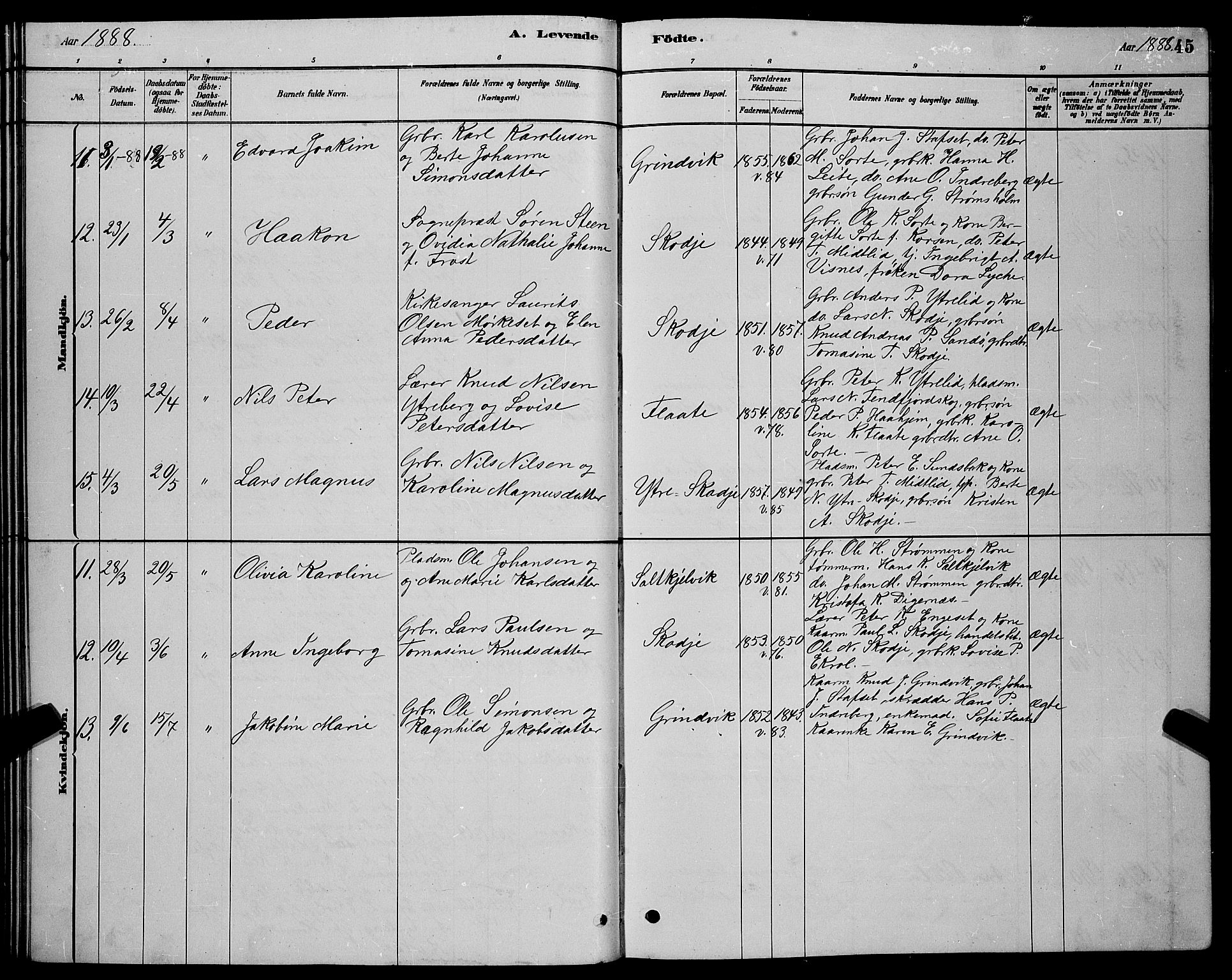 Ministerialprotokoller, klokkerbøker og fødselsregistre - Møre og Romsdal, AV/SAT-A-1454/524/L0365: Parish register (copy) no. 524C06, 1880-1899, p. 45