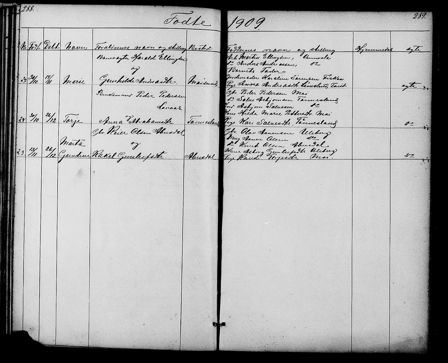 Evje sokneprestkontor, AV/SAK-1111-0008/F/Fb/Fbb/L0002: Parish register (copy) no. B 2, 1879-1909, p. 288-289