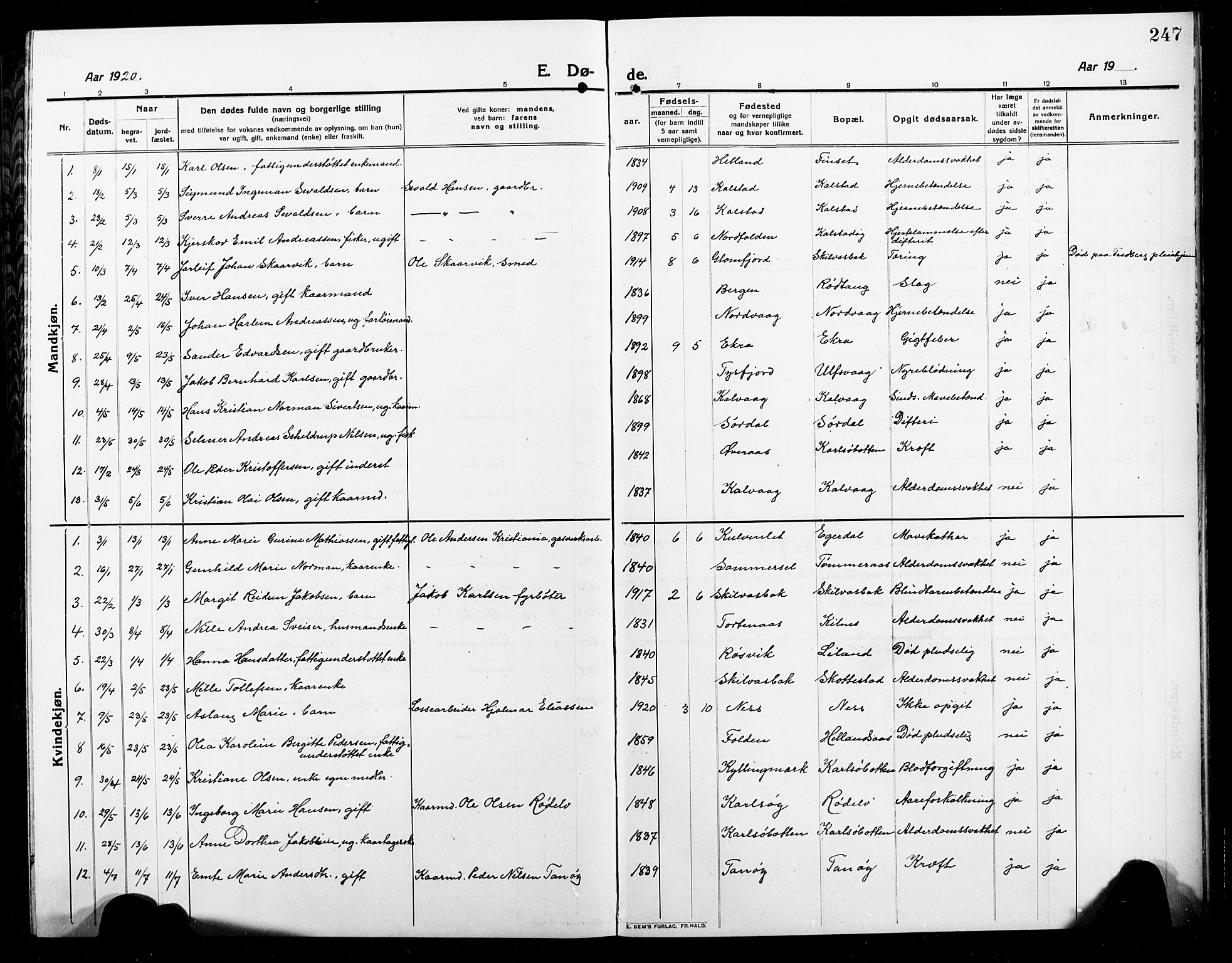 Ministerialprotokoller, klokkerbøker og fødselsregistre - Nordland, AV/SAT-A-1459/859/L0861: Parish register (copy) no. 859C07, 1910-1925, p. 247