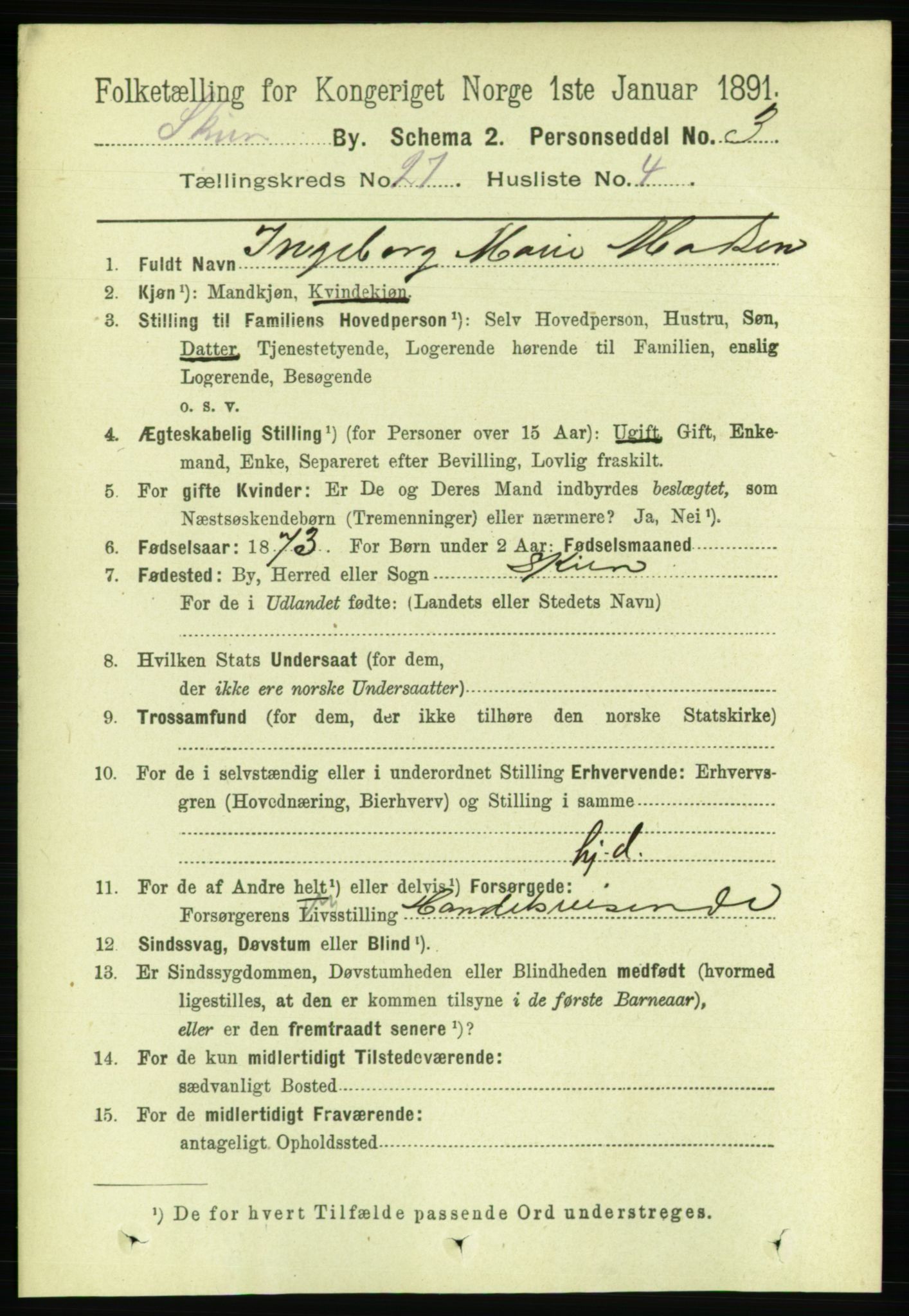 RA, 1891 census for 0806 Skien, 1891, p. 6365