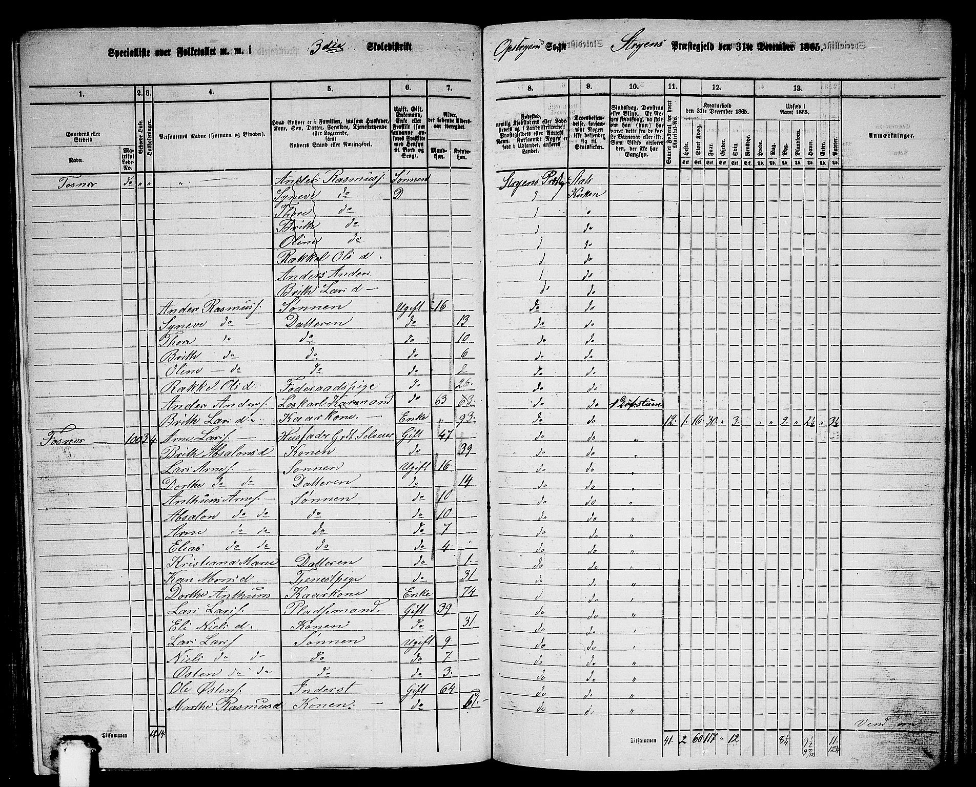 RA, 1865 census for Stryn, 1865, p. 8
