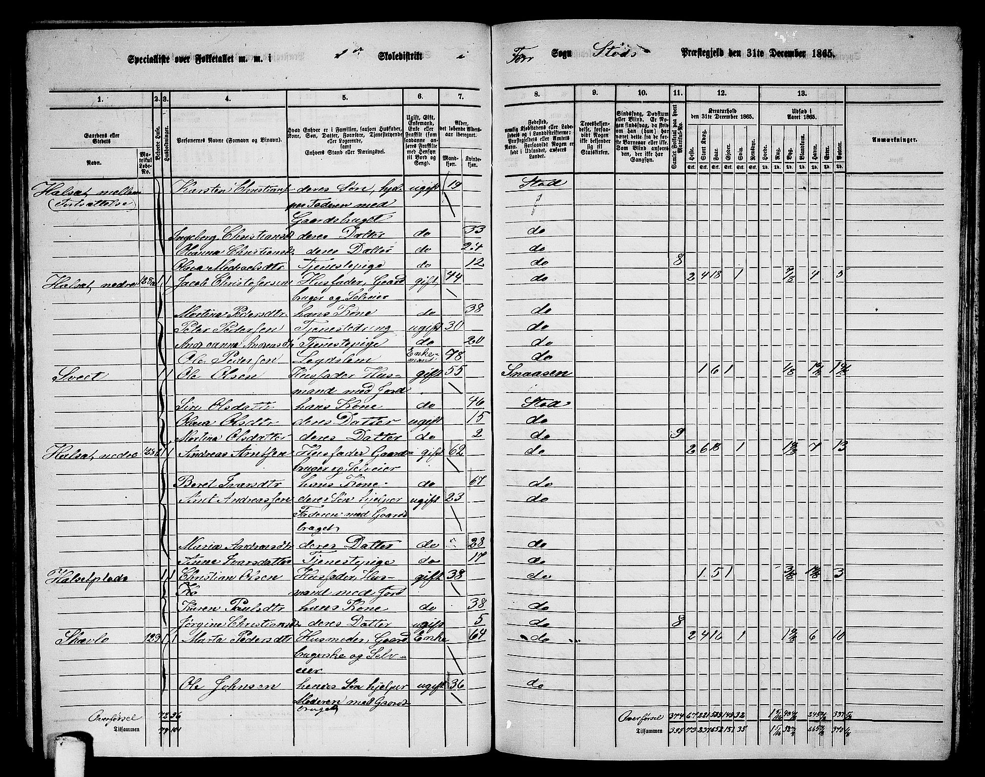 RA, 1865 census for Stod, 1865, p. 100