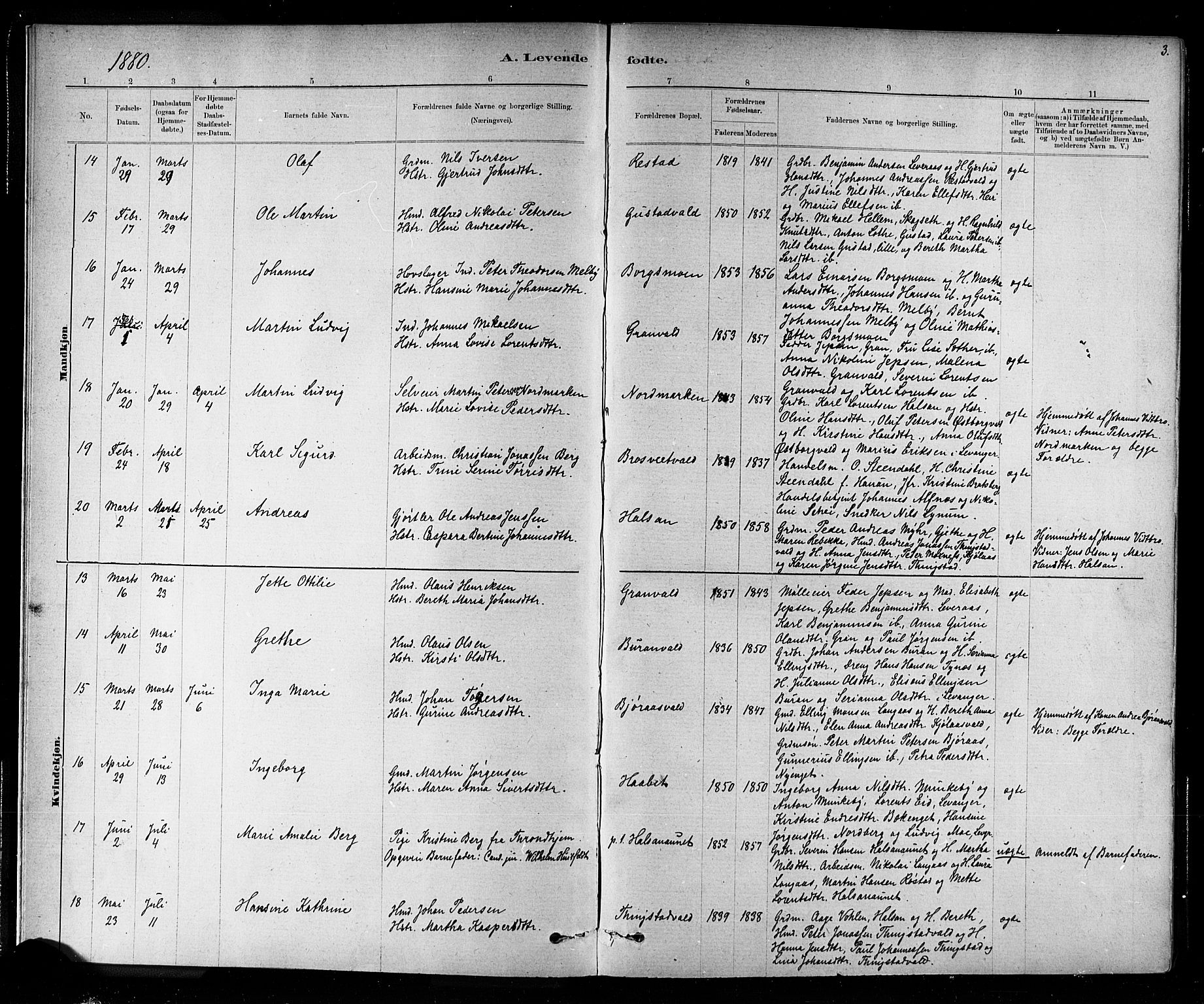 Ministerialprotokoller, klokkerbøker og fødselsregistre - Nord-Trøndelag, AV/SAT-A-1458/721/L0208: Parish register (copy) no. 721C01, 1880-1917, p. 3