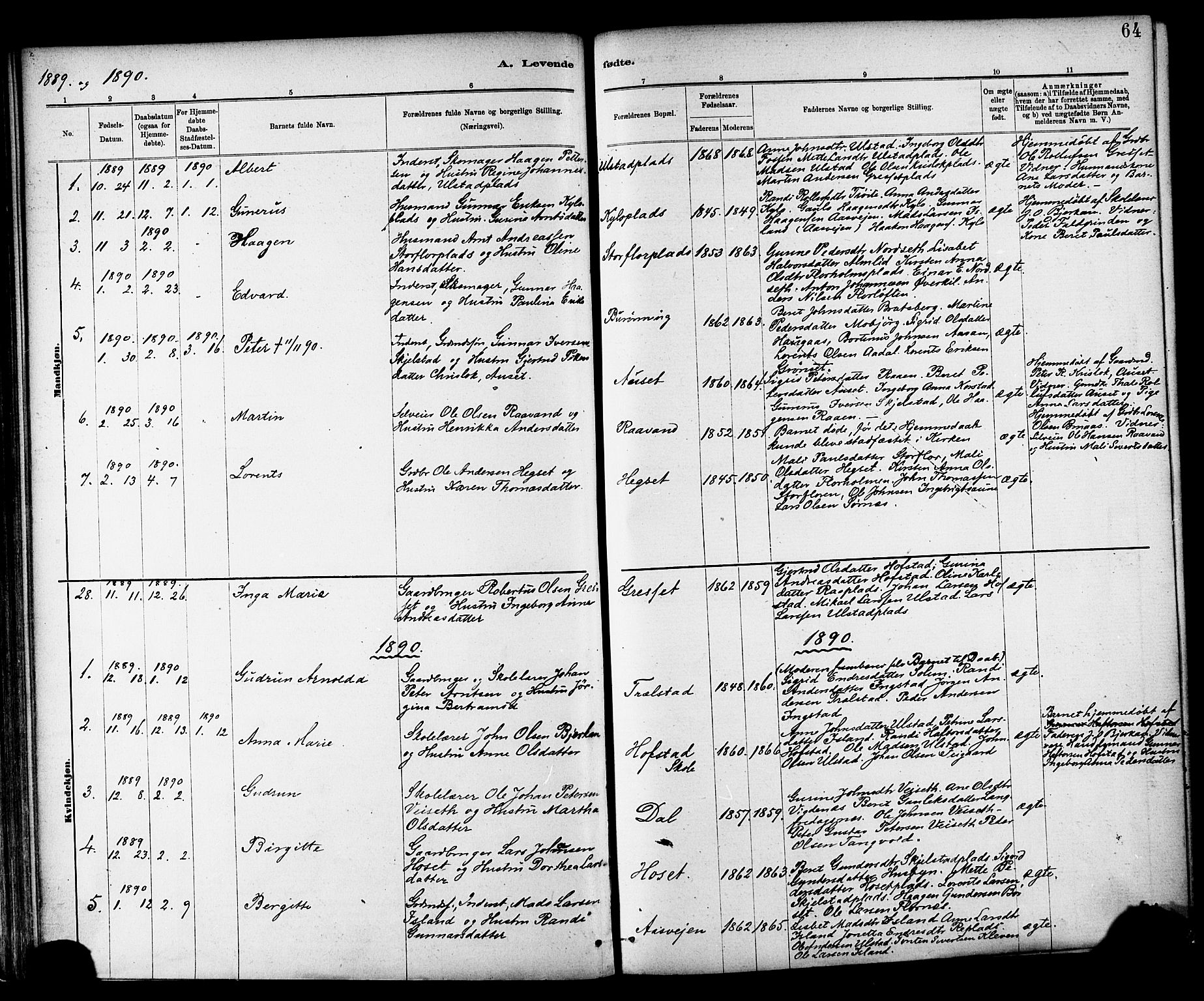 Ministerialprotokoller, klokkerbøker og fødselsregistre - Nord-Trøndelag, SAT/A-1458/703/L0030: Parish register (official) no. 703A03, 1880-1892, p. 64