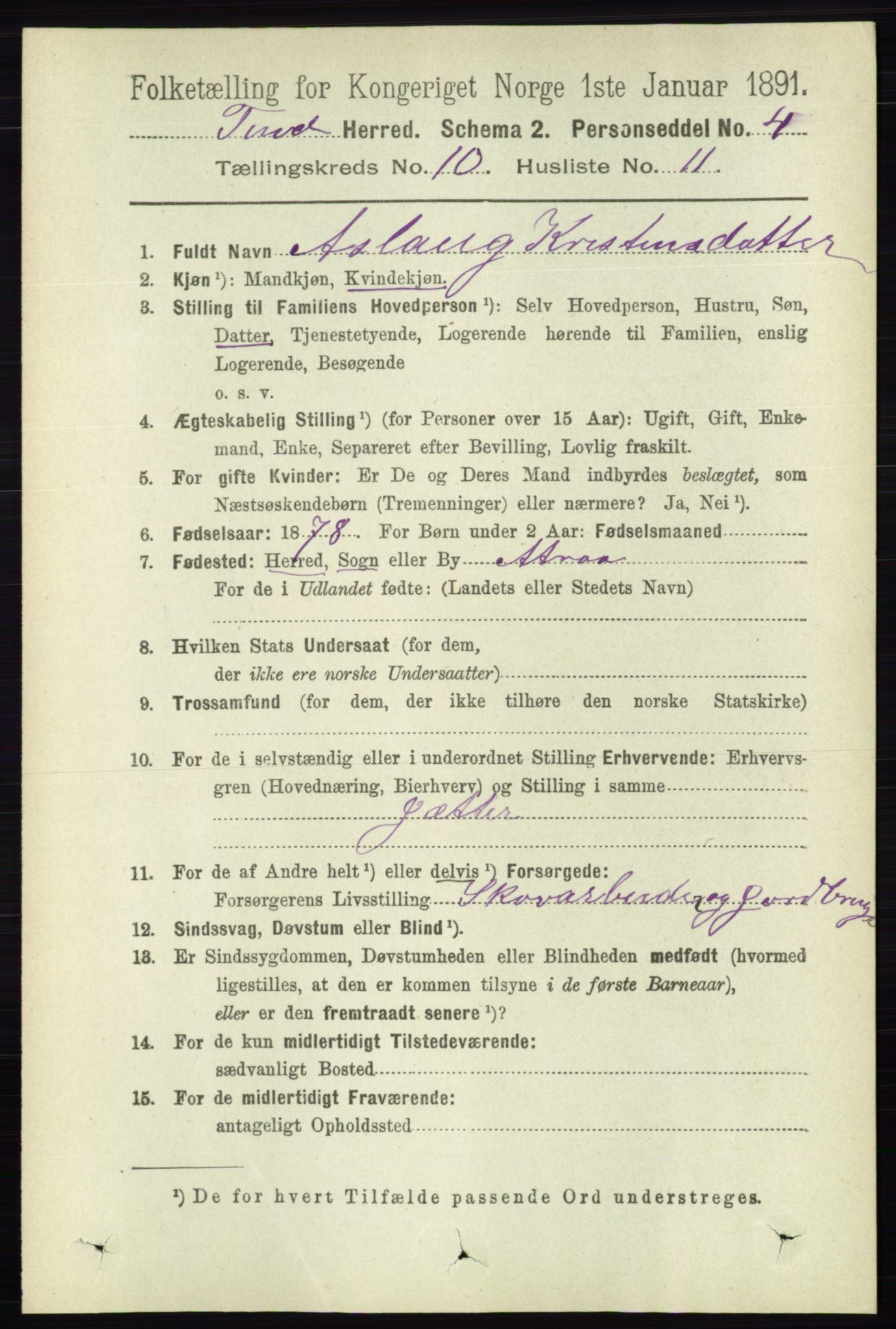 RA, 1891 census for 0826 Tinn, 1891, p. 2026