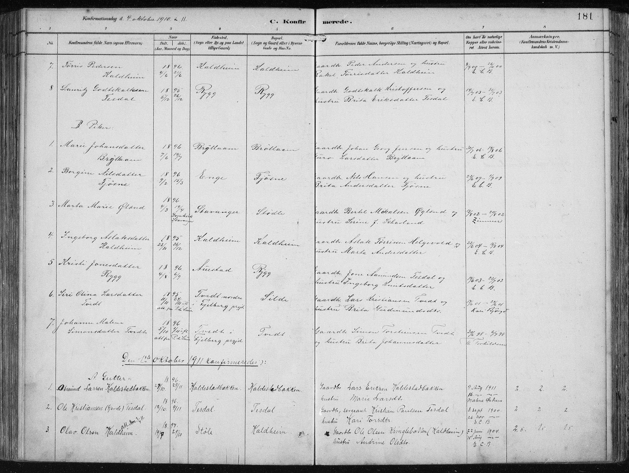 Etne sokneprestembete, AV/SAB-A-75001/H/Haa: Parish register (official) no. B  1, 1879-1919, p. 181