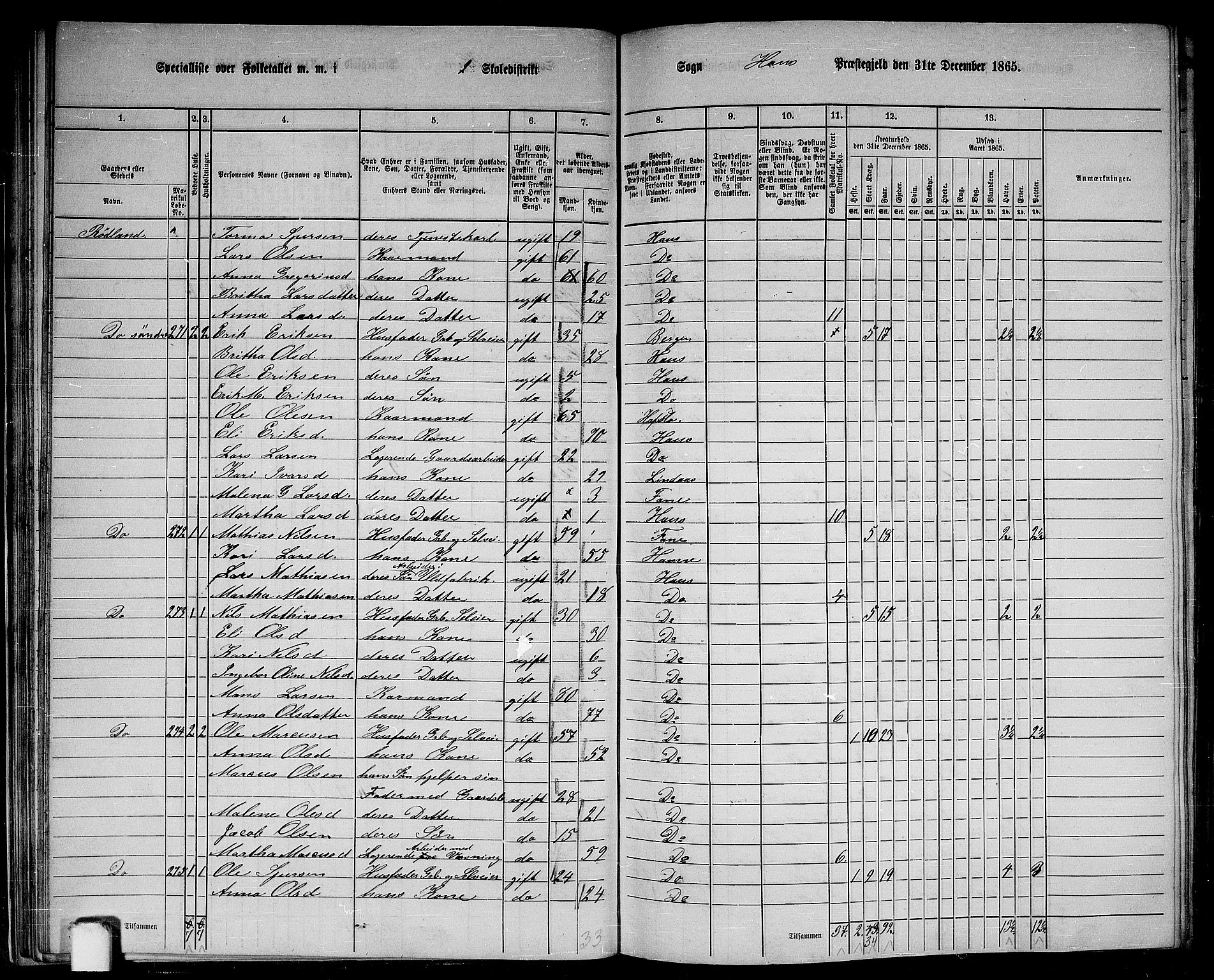 RA, 1865 census for Haus, 1865, p. 47