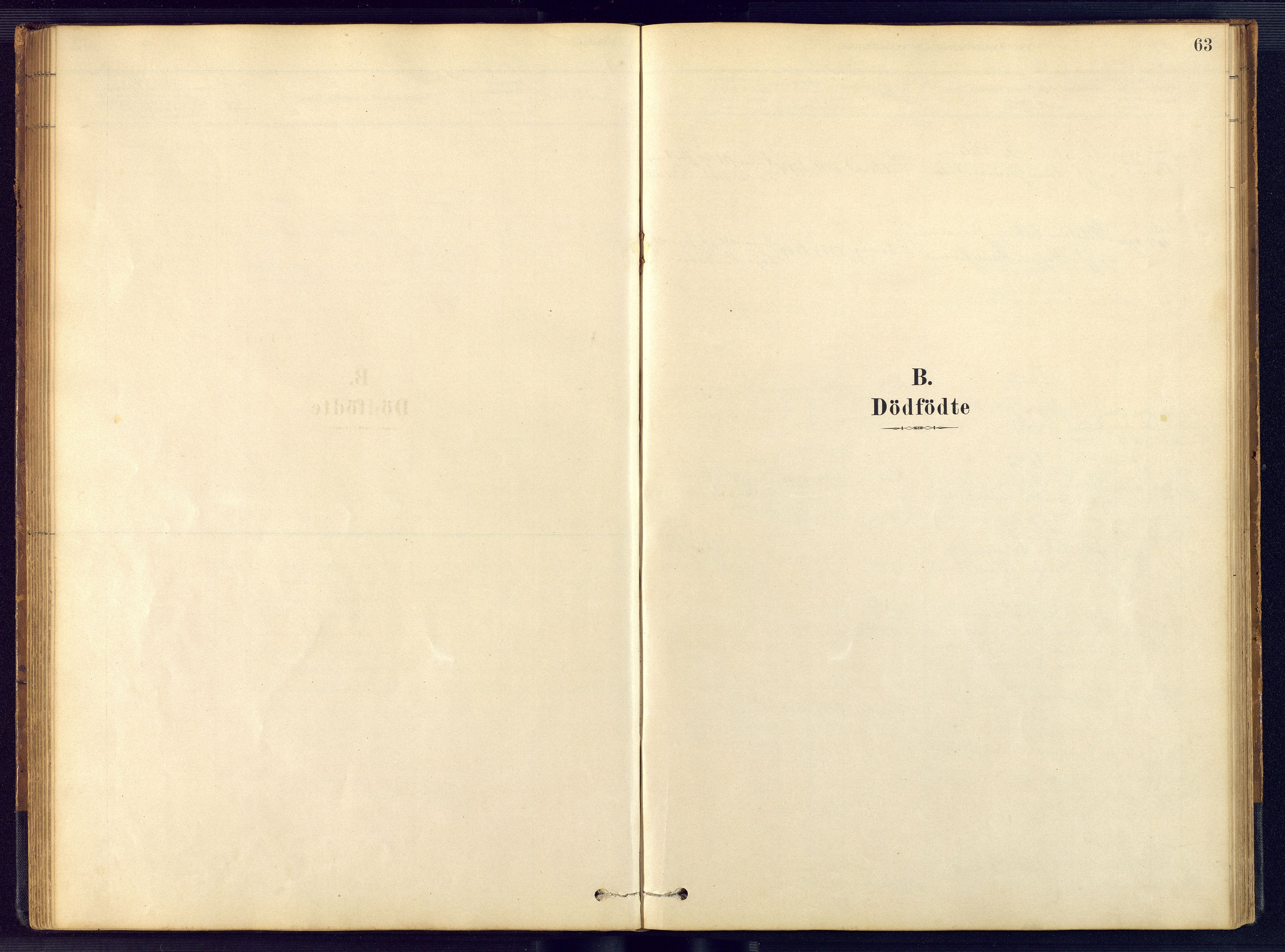 Austre Moland sokneprestkontor, SAK/1111-0001/F/Fb/Fbb/L0001: Parish register (copy) no. B 1, 1878-1904, p. 63