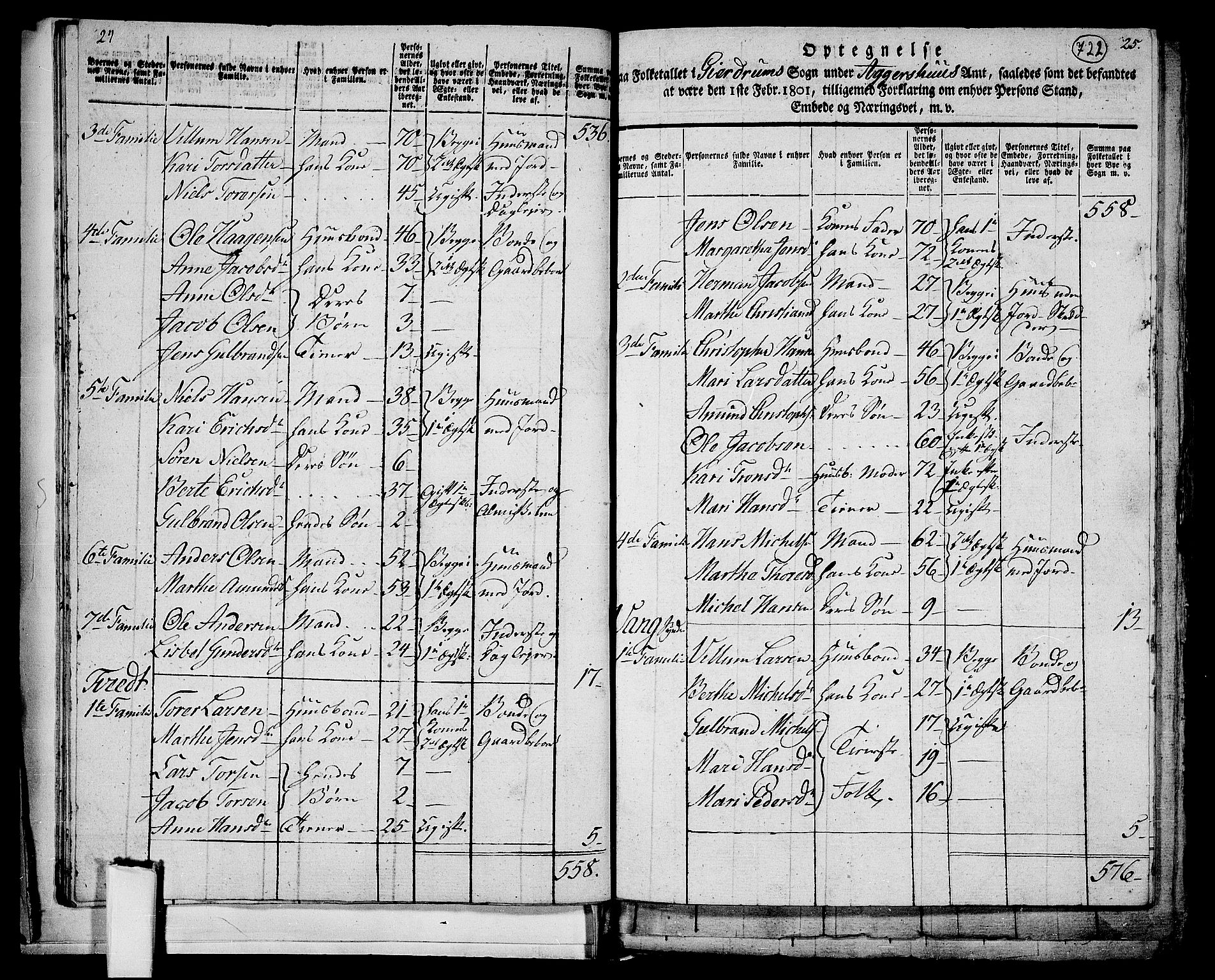 RA, 1801 census for 0234P Gjerdrum, 1801, p. 721b-722a