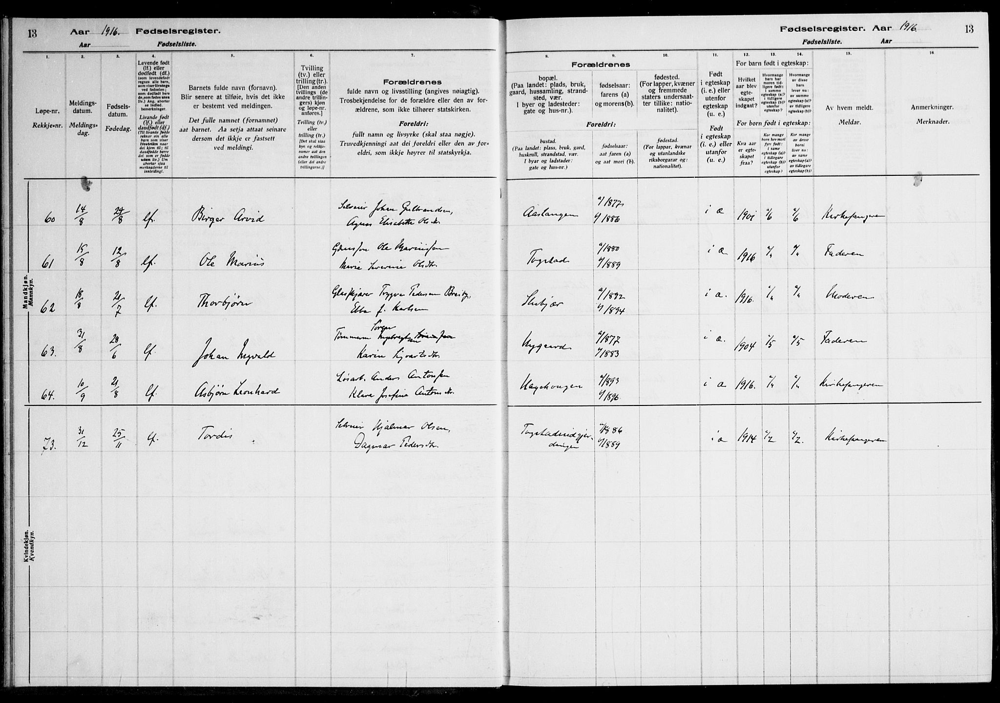 Nes prestekontor Kirkebøker, AV/SAO-A-10410/J/Ja/L0001: Birth register no. 1, 1916-1926, p. 13