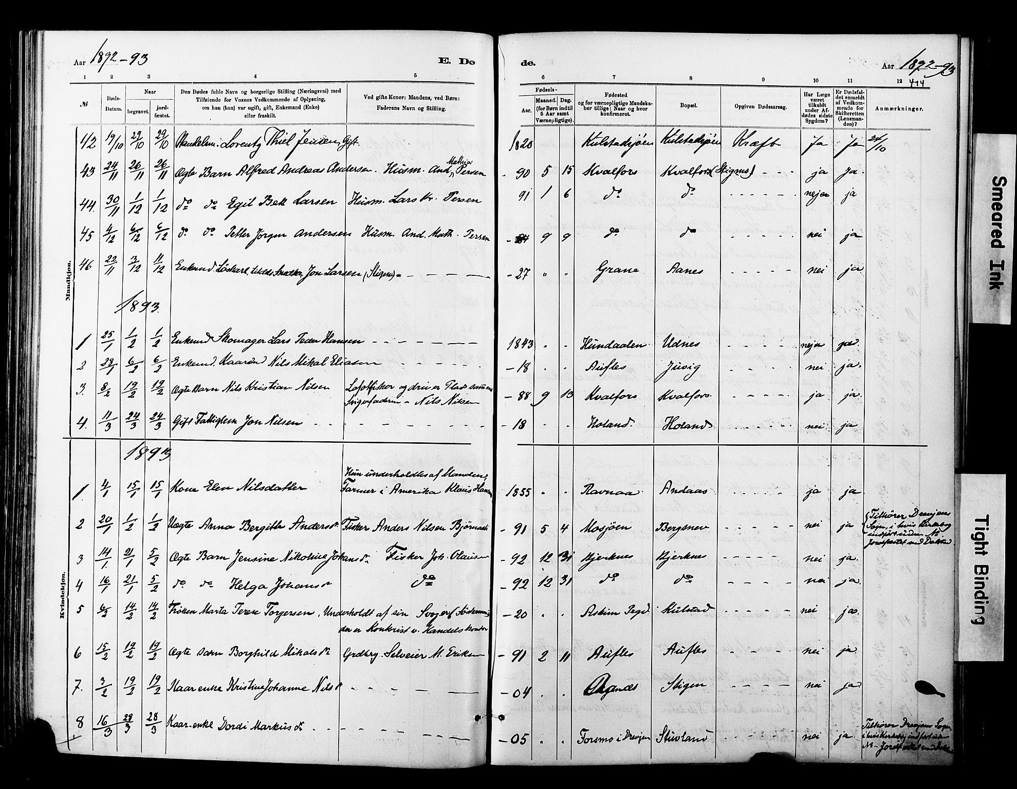 Ministerialprotokoller, klokkerbøker og fødselsregistre - Nordland, AV/SAT-A-1459/820/L0295: Parish register (official) no. 820A16, 1880-1896, p. 414