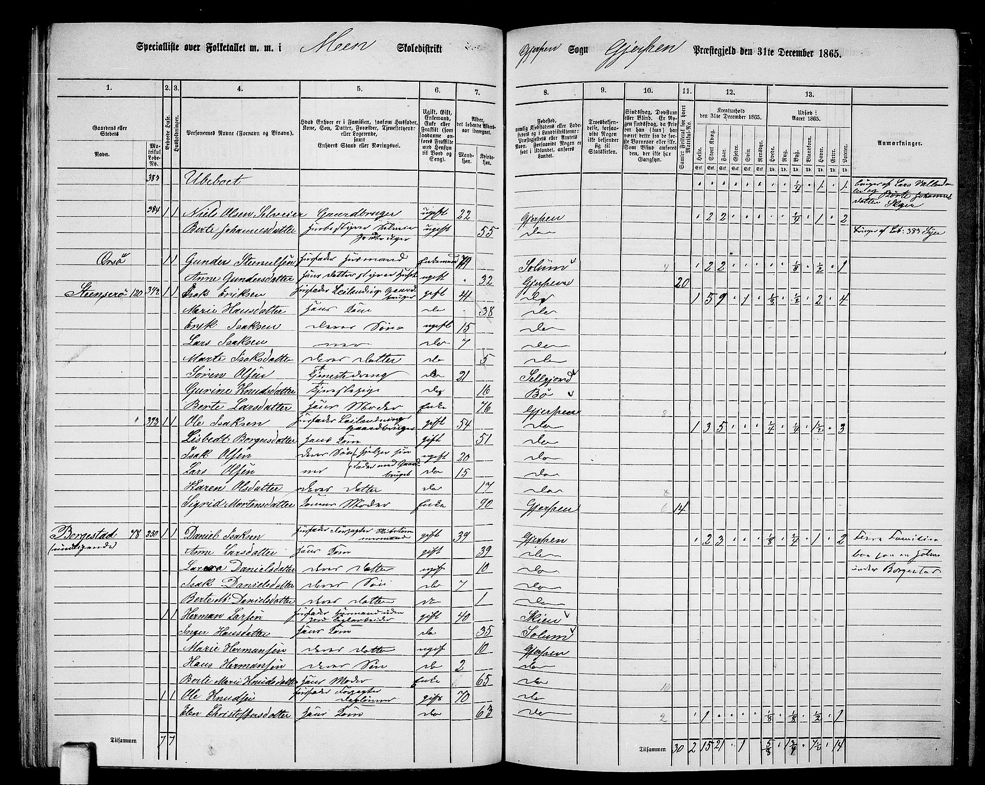 RA, 1865 census for Gjerpen, 1865, p. 135