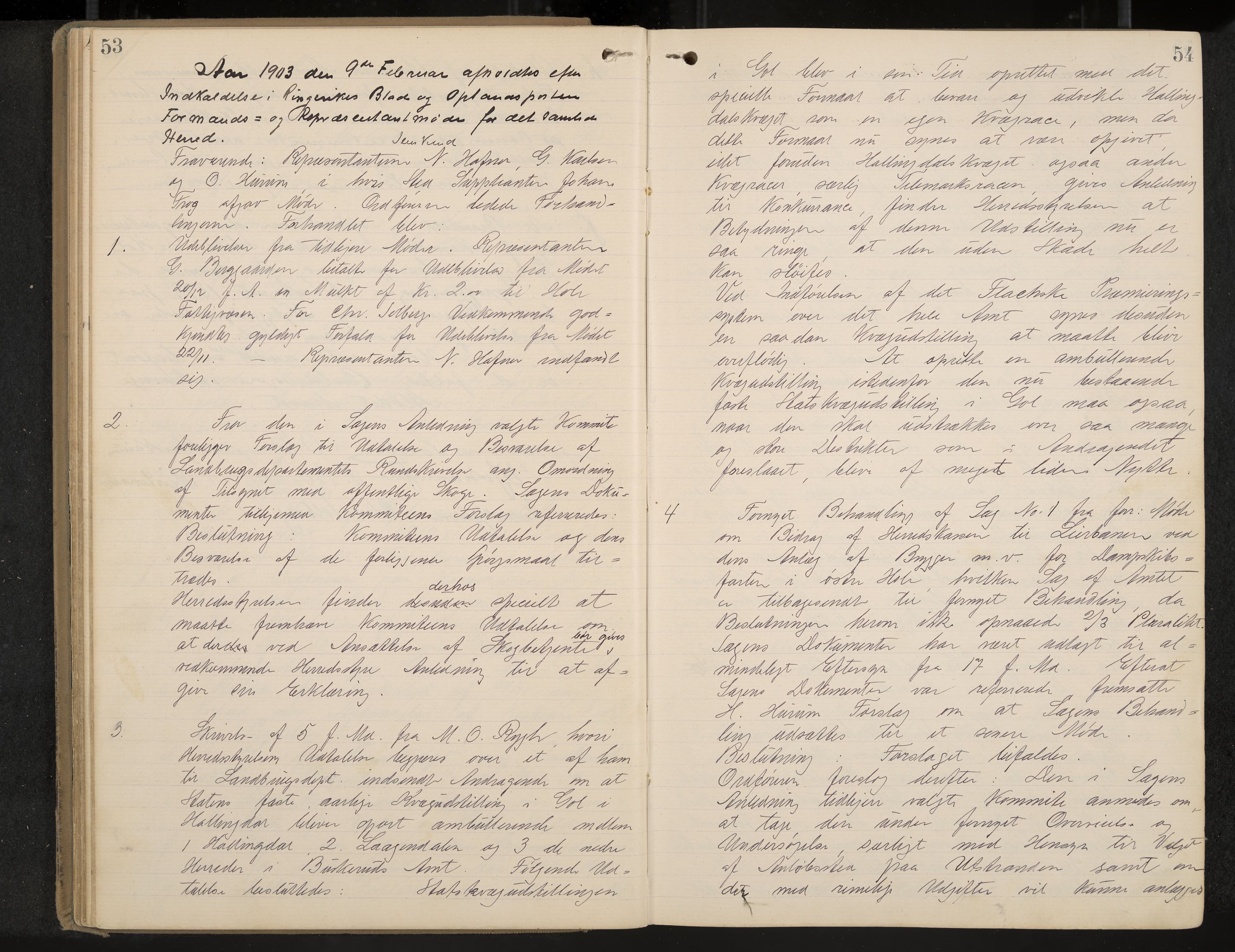 Hole formannskap og sentraladministrasjon, IKAK/0612021-1/A/Aa/L0004: Møtebok med register, 1902-1910, p. 53-54