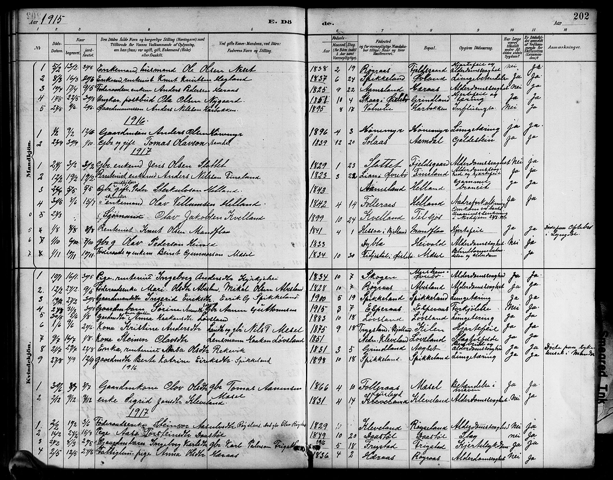 Bjelland sokneprestkontor, SAK/1111-0005/F/Fb/Fbb/L0005: Parish register (copy) no. B 5, 1887-1918, p. 202