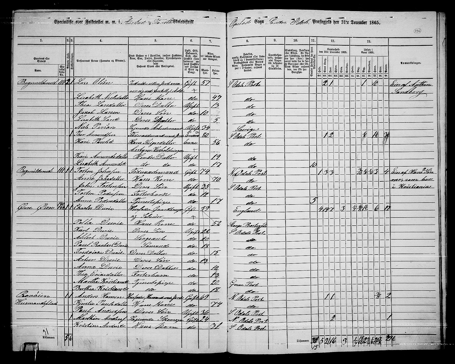 RA, 1865 census for Sør-Odal, 1865, p. 295