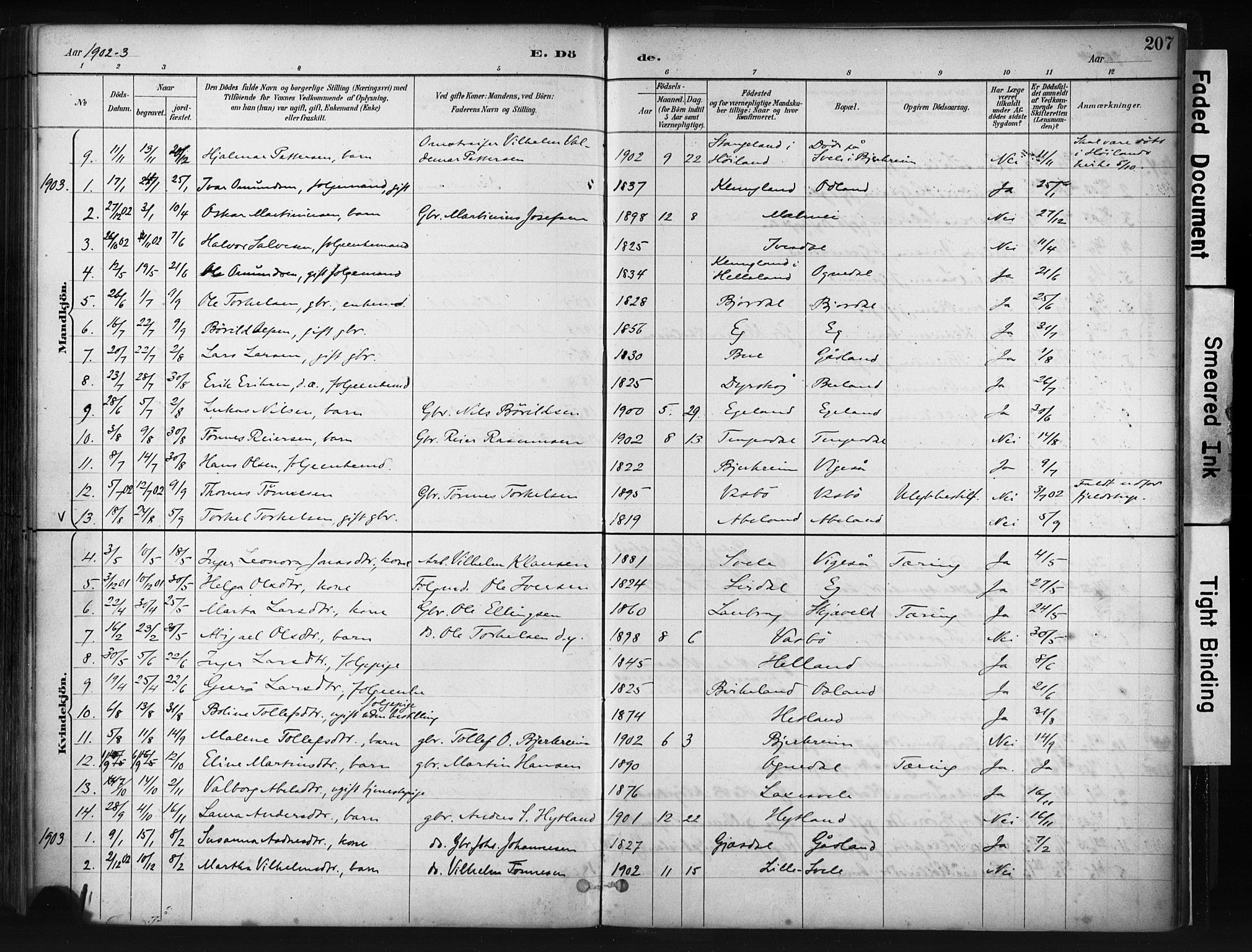 Helleland sokneprestkontor, AV/SAST-A-101810: Parish register (official) no. A 9, 1887-1908, p. 207