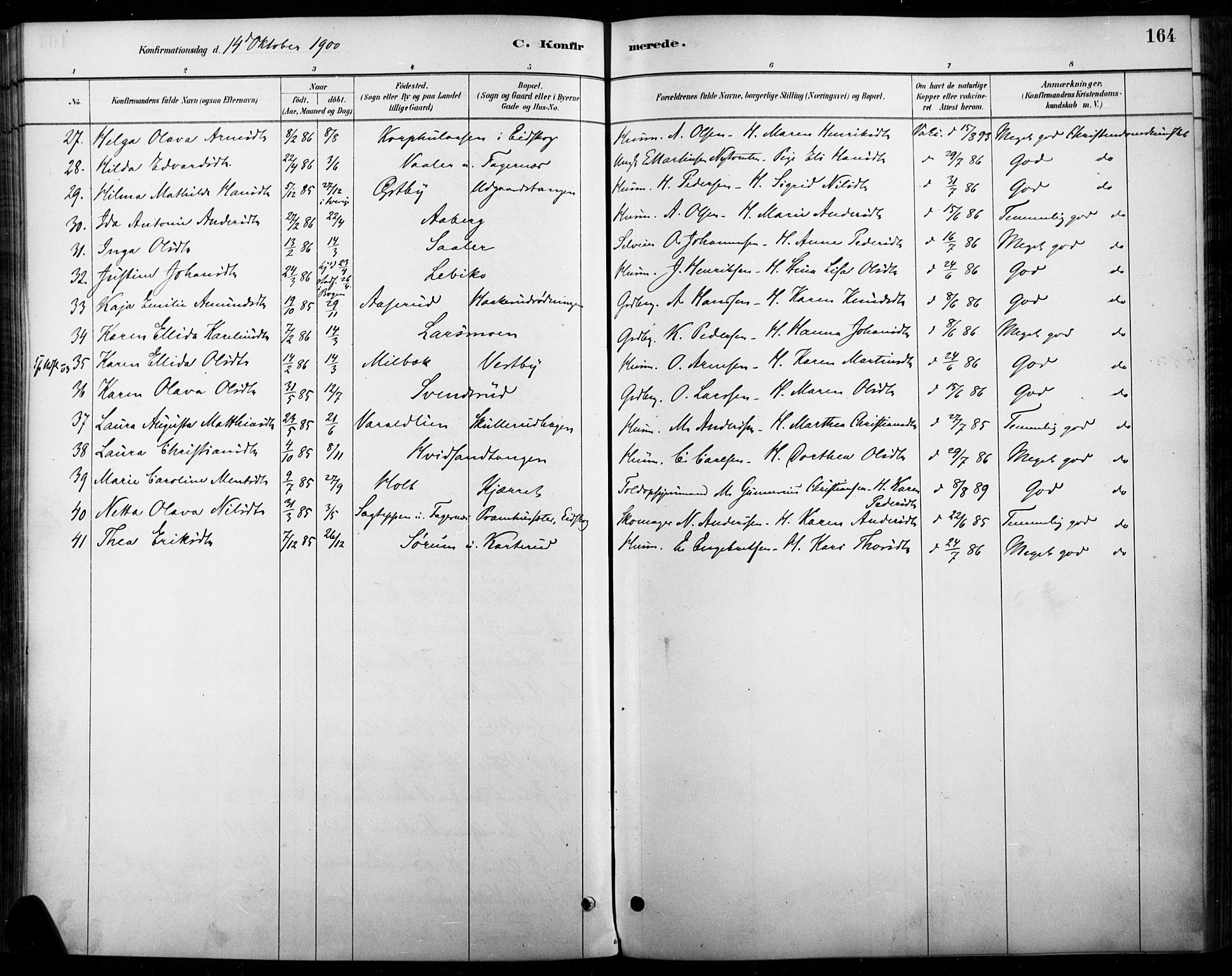 Vinger prestekontor, AV/SAH-PREST-024/H/Ha/Haa/L0015: Parish register (official) no. 15, 1881-1900, p. 164