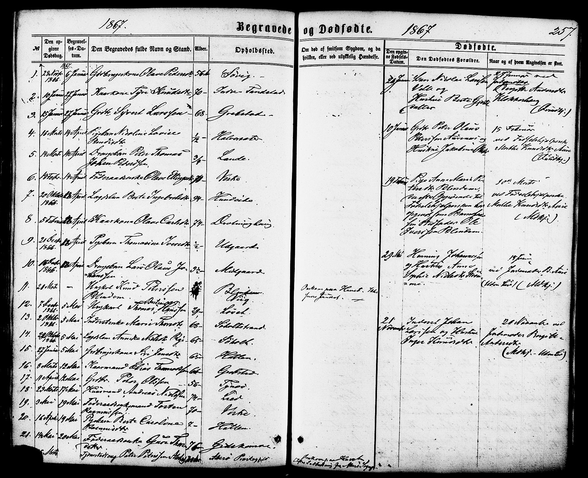 Ministerialprotokoller, klokkerbøker og fødselsregistre - Møre og Romsdal, SAT/A-1454/522/L0314: Parish register (official) no. 522A09, 1863-1877, p. 257