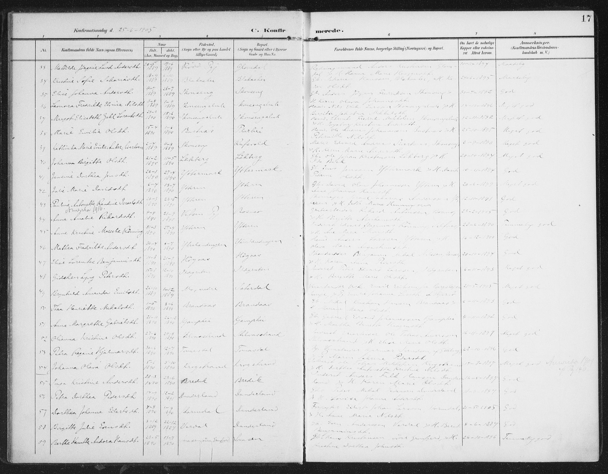 Ministerialprotokoller, klokkerbøker og fødselsregistre - Nordland, AV/SAT-A-1459/827/L0403: Parish register (official) no. 827A15, 1903-1912, p. 17