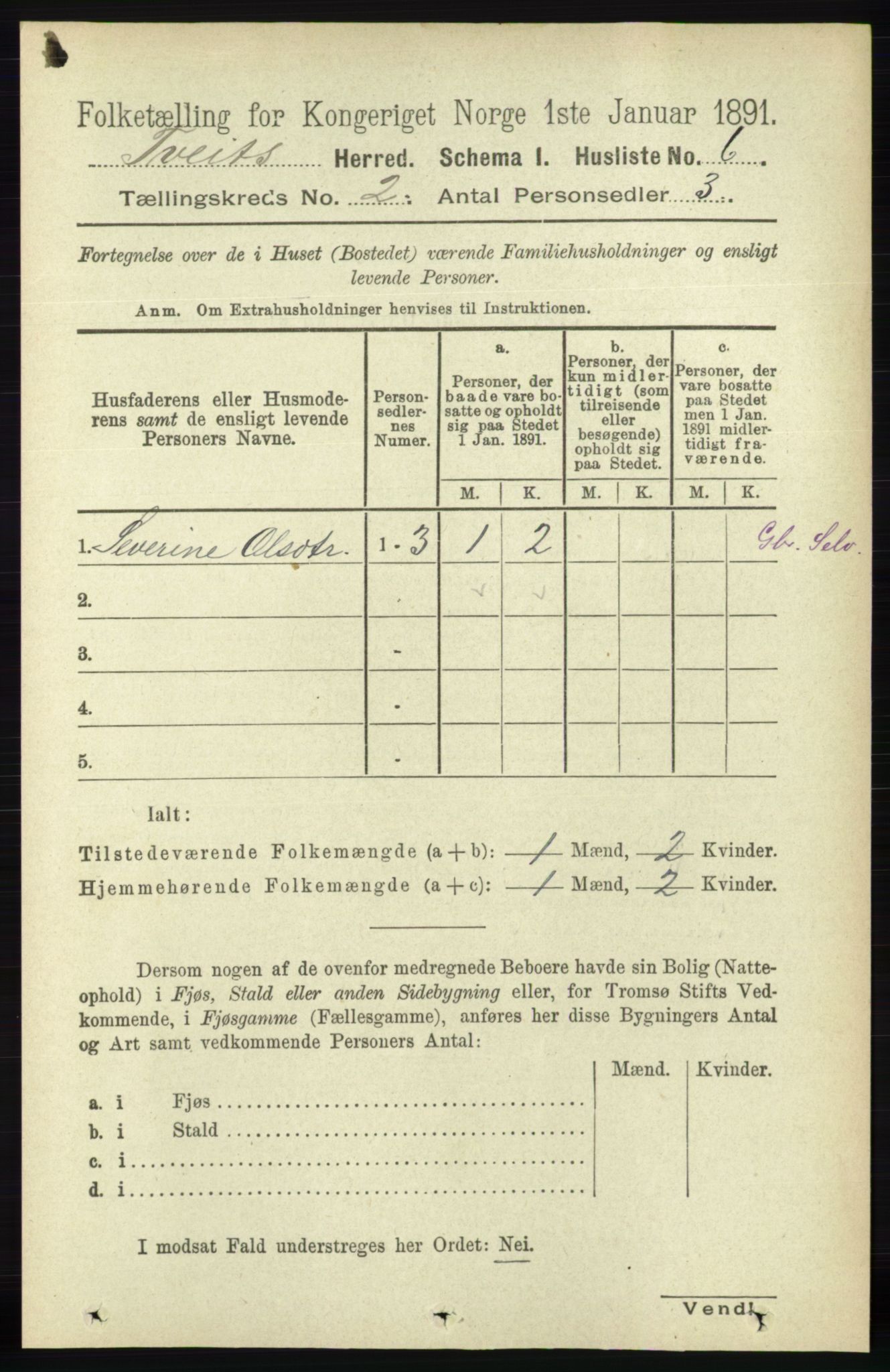 RA, 1891 census for 1013 Tveit, 1891, p. 419