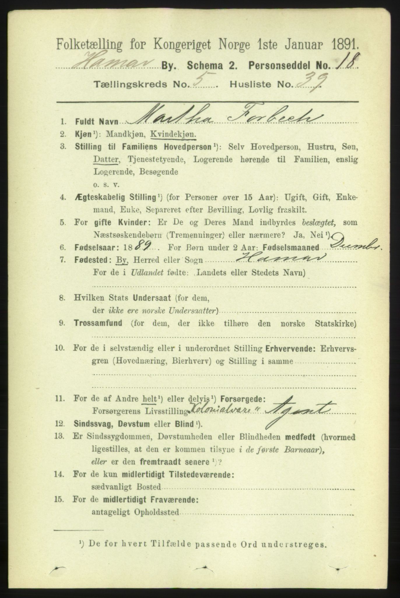 RA, 1891 census for 0401 Hamar, 1891, p. 4321