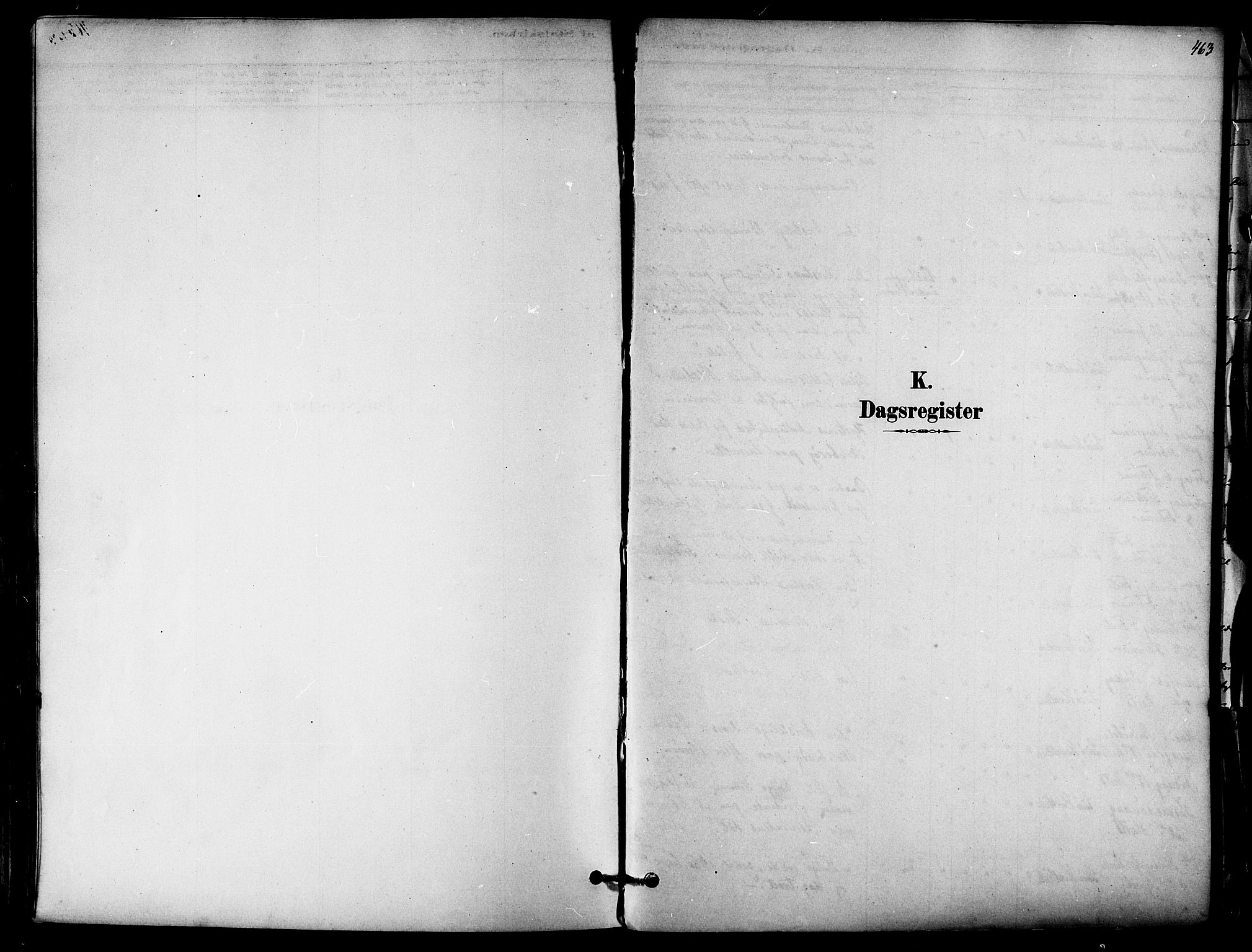 Ministerialprotokoller, klokkerbøker og fødselsregistre - Nordland, AV/SAT-A-1459/839/L0568: Parish register (official) no. 839A05, 1880-1902, p. 463