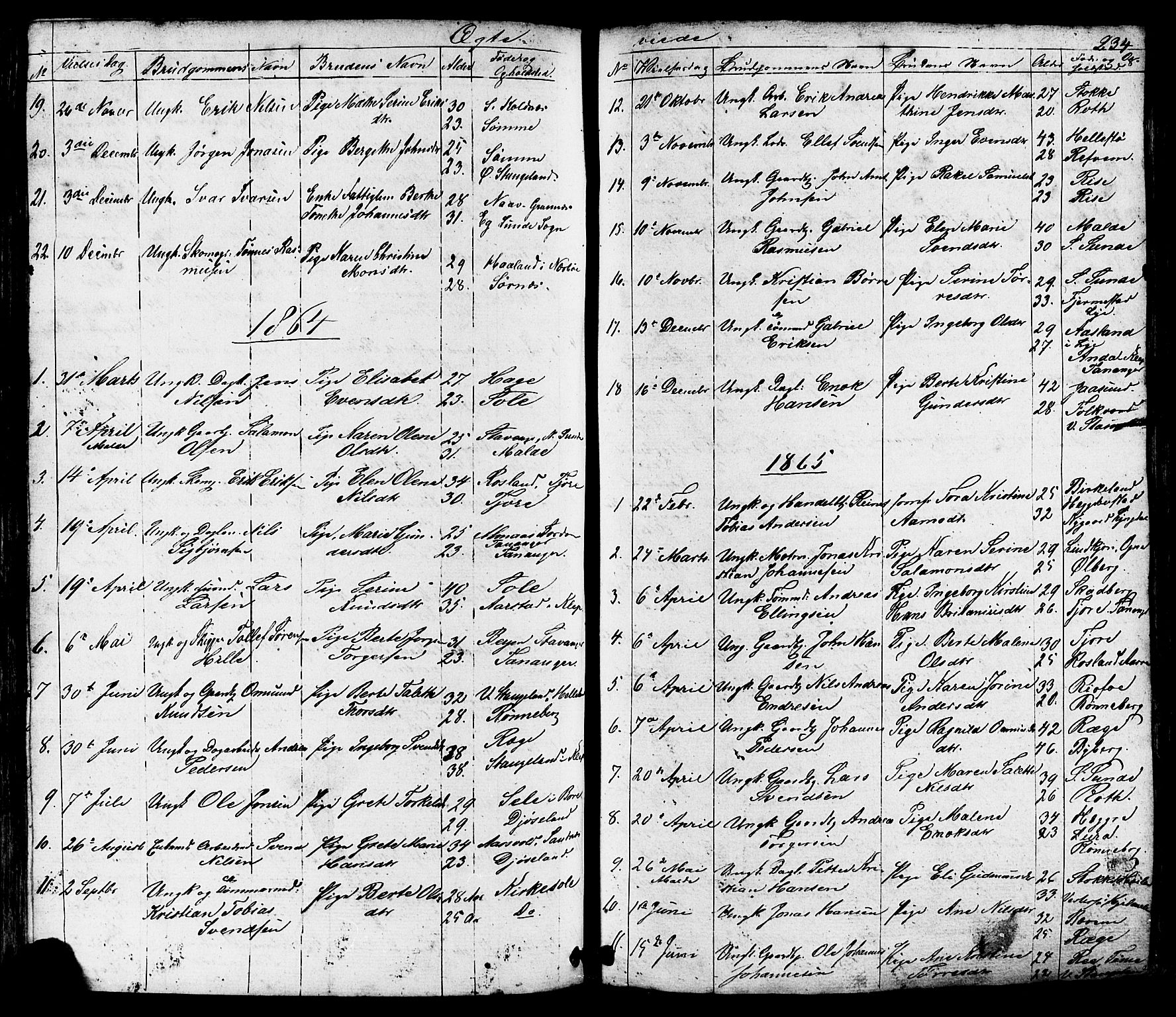 Håland sokneprestkontor, SAST/A-101802/001/30BB/L0002: Parish register (copy) no. B 2, 1845-1872, p. 234