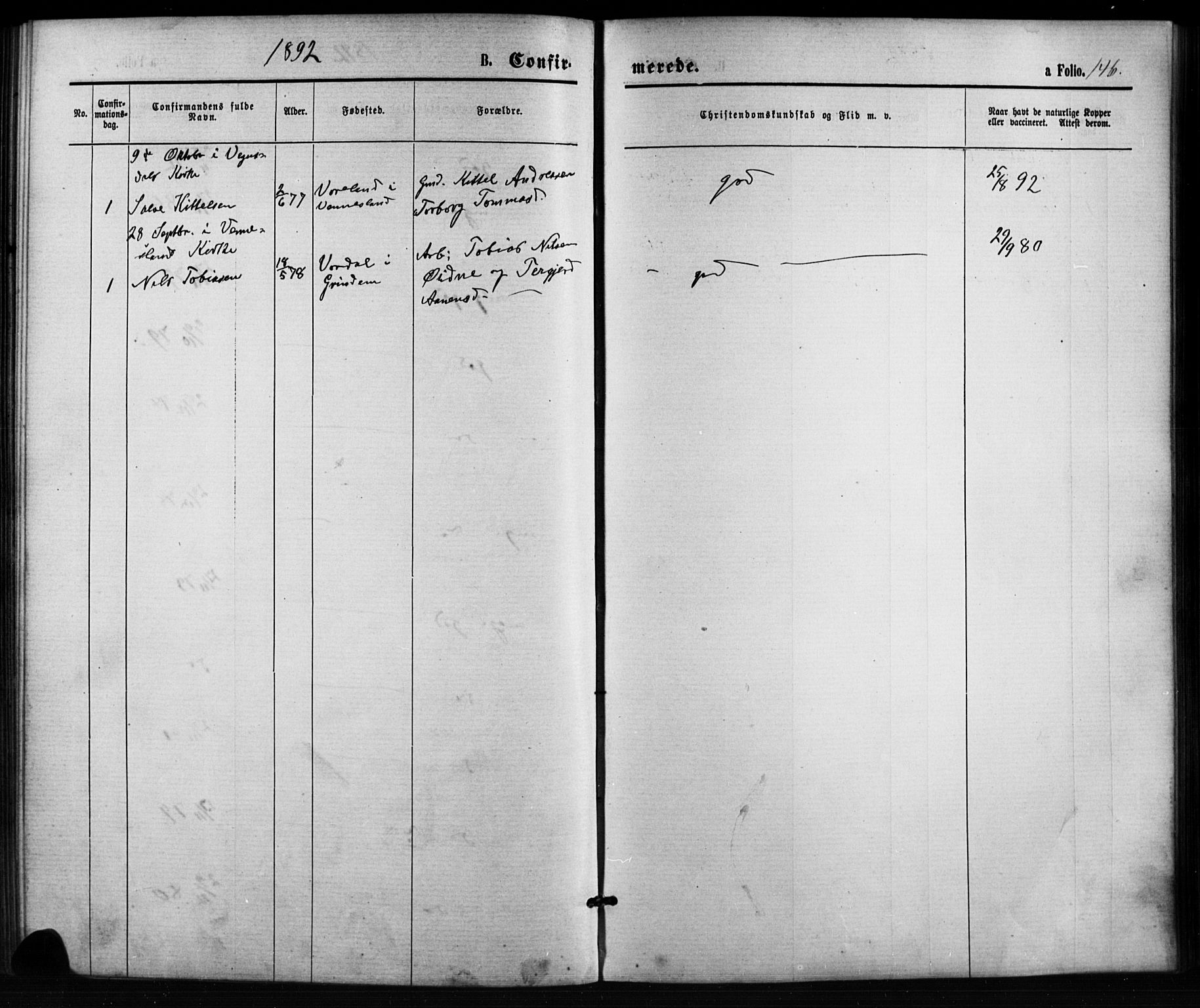 Birkenes sokneprestkontor, AV/SAK-1111-0004/F/Fb/L0003: Parish register (copy) no. B 3, 1876-1892, p. 146