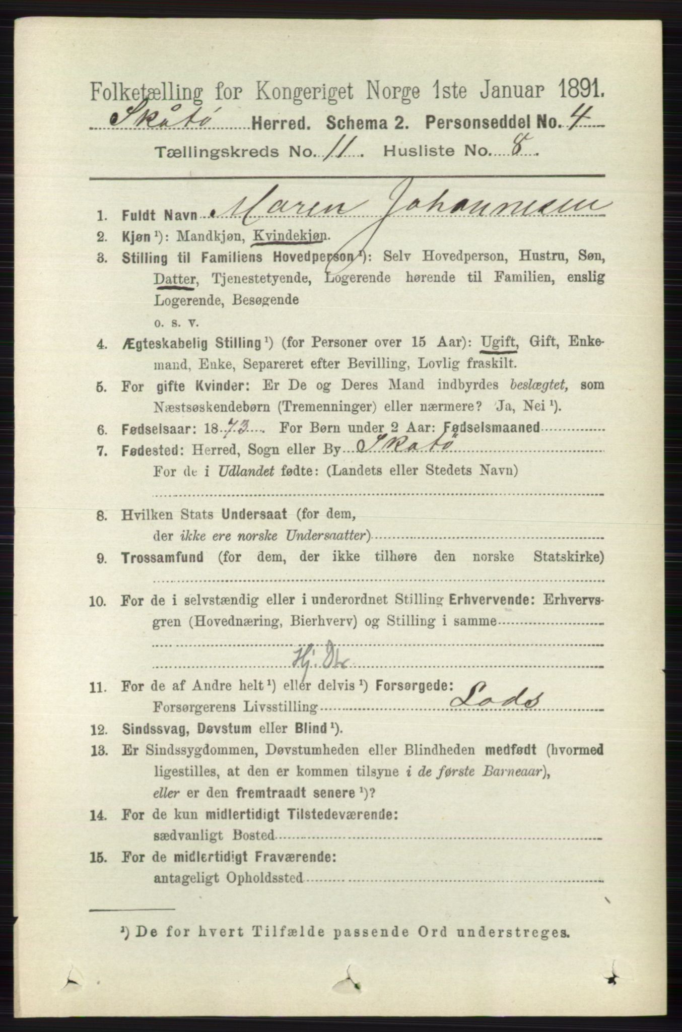 RA, 1891 census for 0815 Skåtøy, 1891, p. 4269