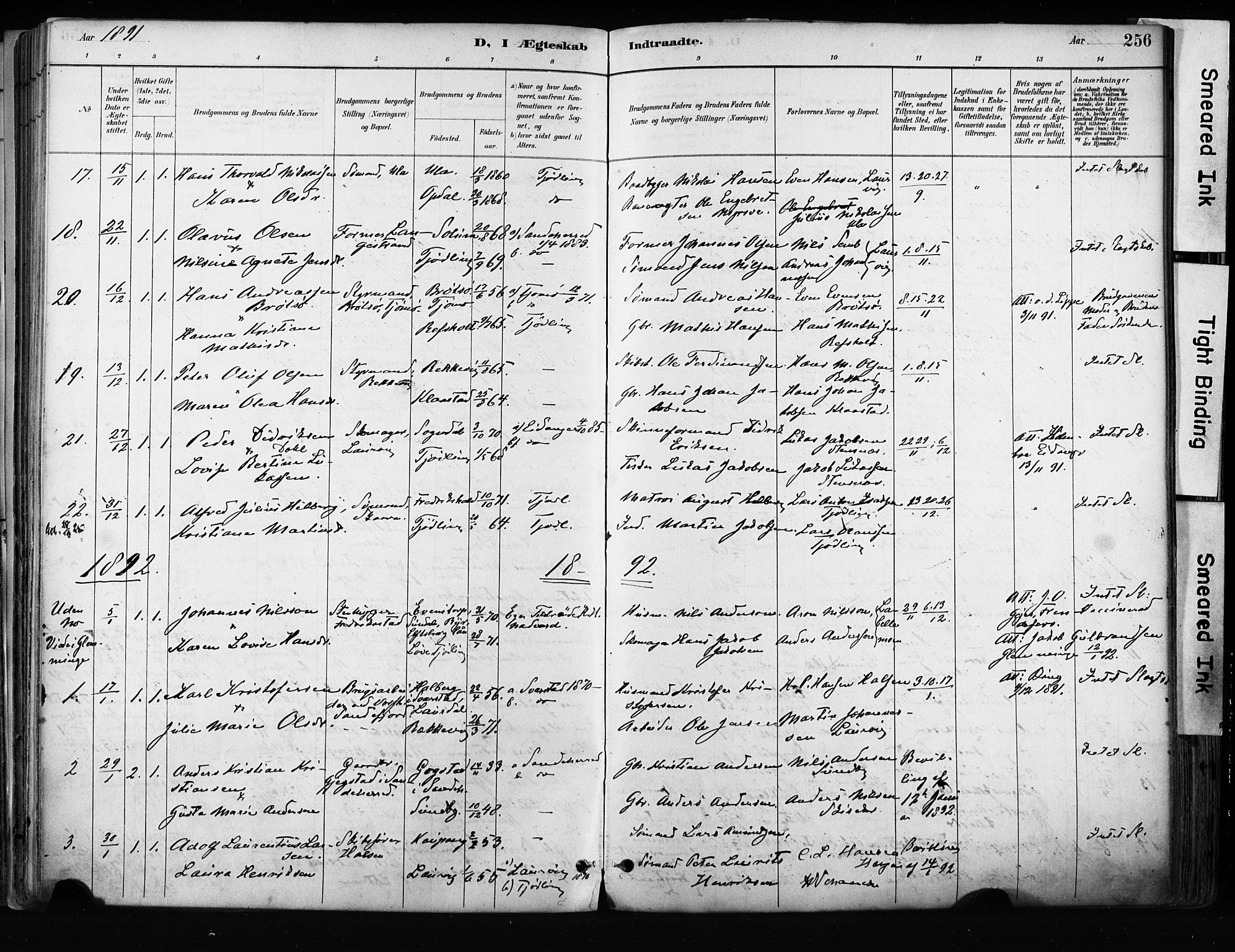 Tjølling kirkebøker, AV/SAKO-A-60/F/Fa/L0009: Parish register (official) no. 9, 1887-1905, p. 256