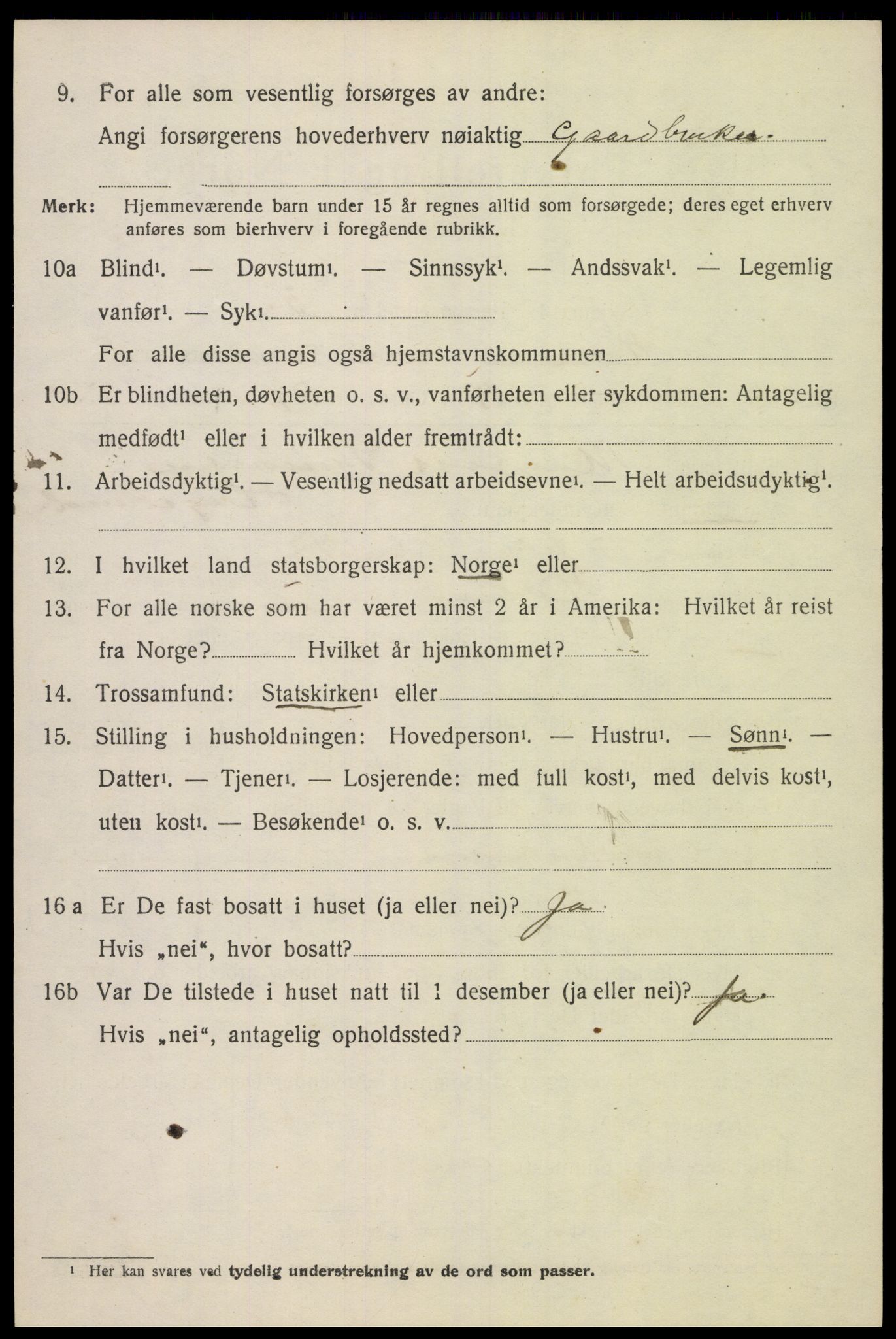 SAK, 1920 census for Holum, 1920, p. 2636