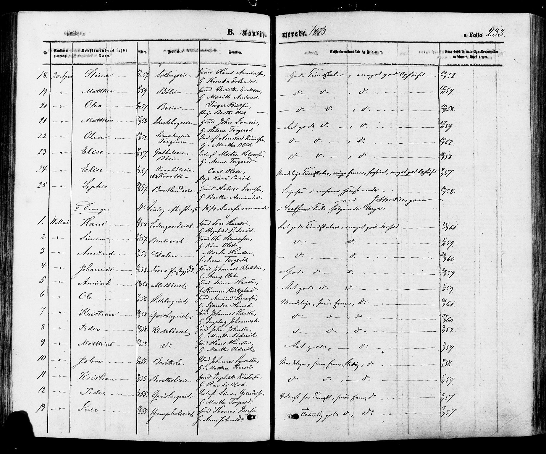 Gausdal prestekontor, SAH/PREST-090/H/Ha/Haa/L0010: Parish register (official) no. 10, 1867-1886, p. 233