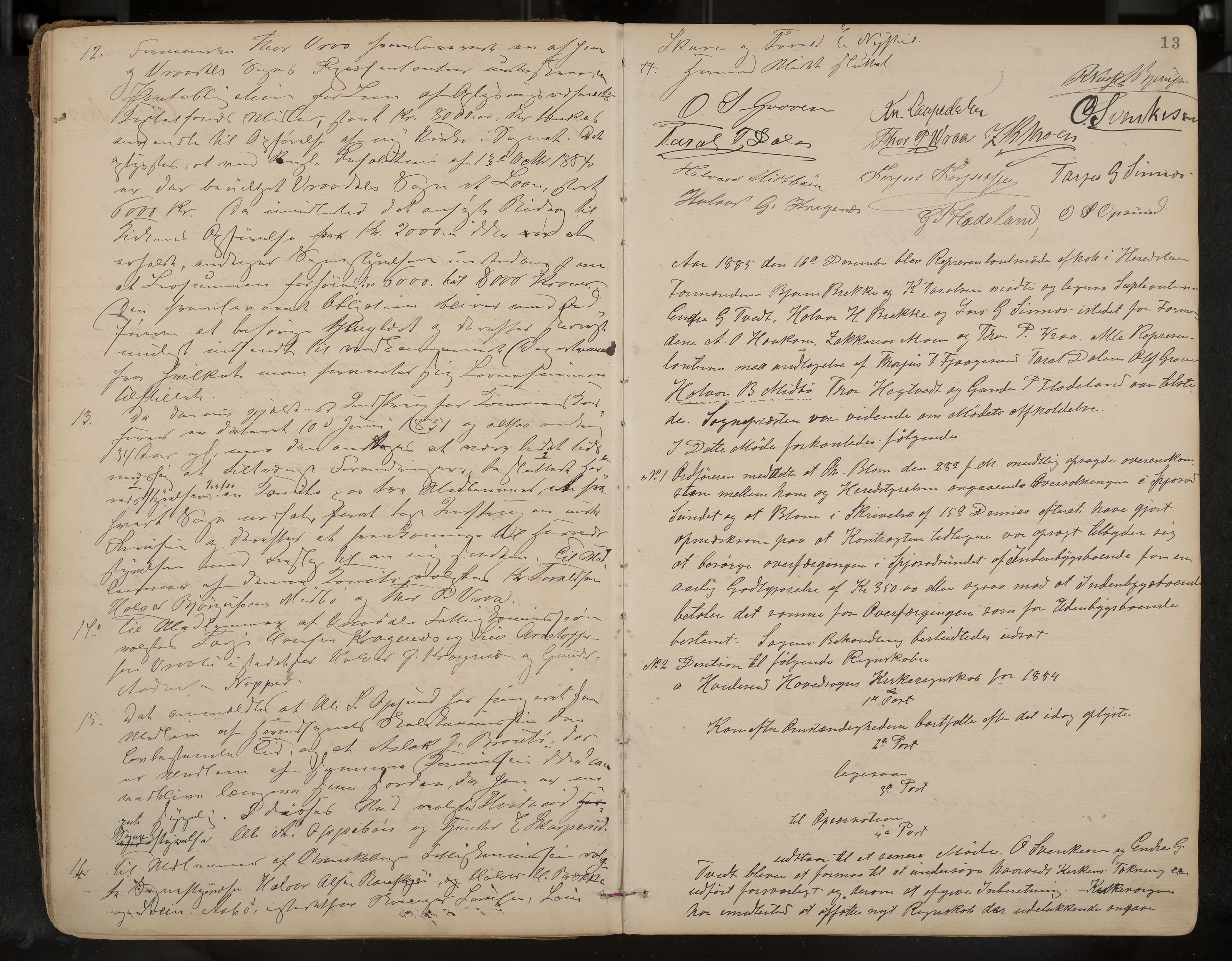 Kviteseid formannskap og sentraladministrasjon, IKAK/0829021/A/Aa/L0003: Møtebok, 1885-1896, p. 13
