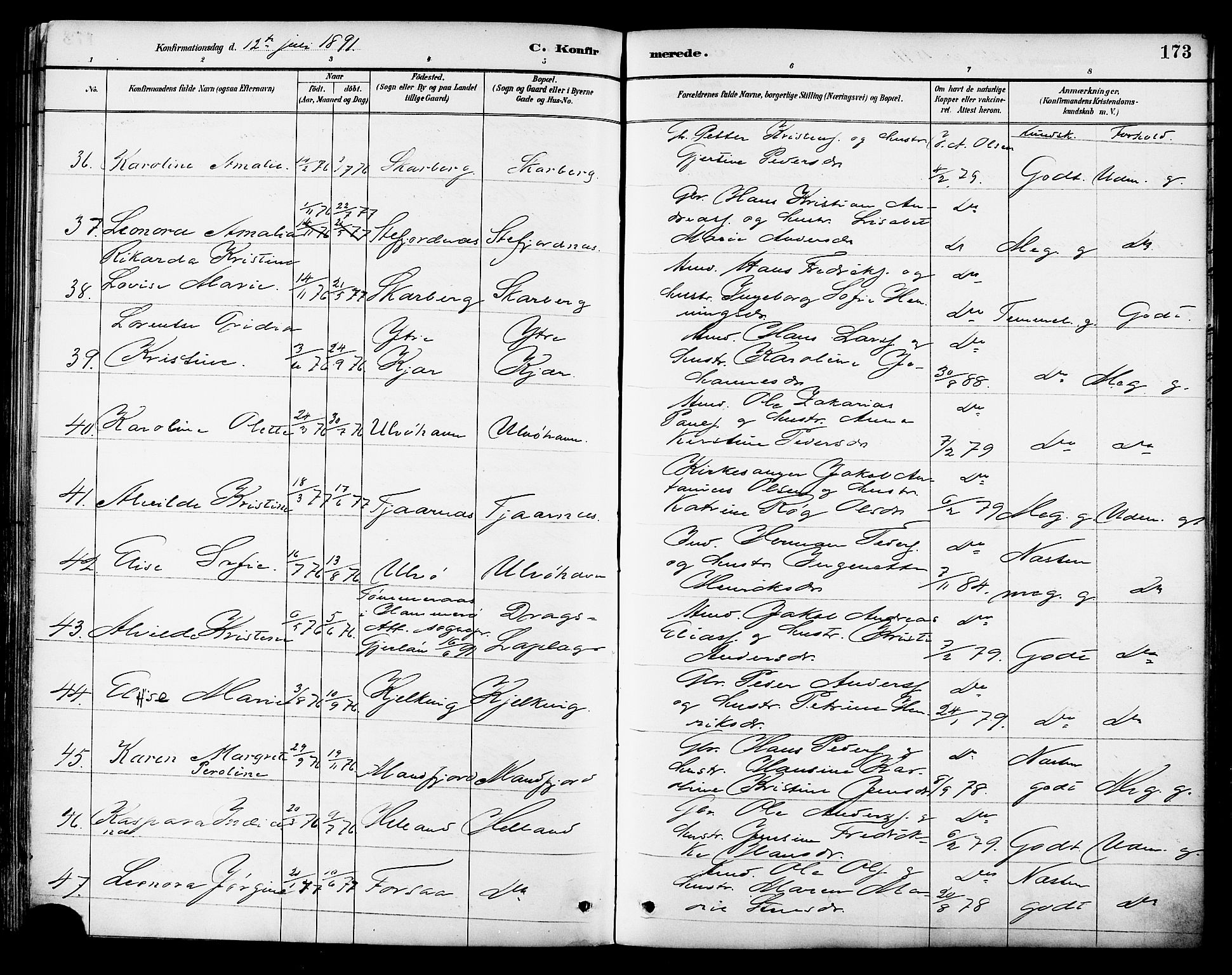 Ministerialprotokoller, klokkerbøker og fødselsregistre - Nordland, SAT/A-1459/861/L0869: Parish register (official) no. 861A04, 1889-1903, p. 173