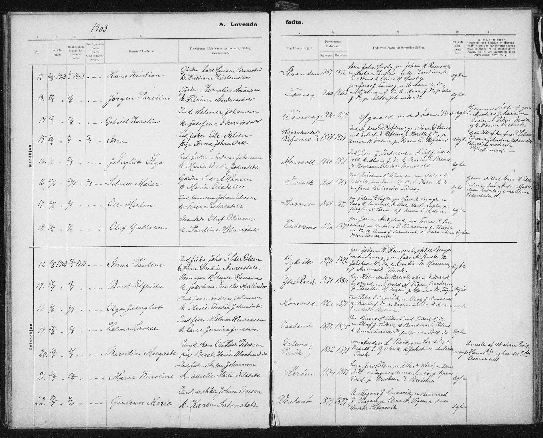 Ministerialprotokoller, klokkerbøker og fødselsregistre - Sør-Trøndelag, AV/SAT-A-1456/653/L0660: Parish register (copy) no. 653C04, 1894-1919