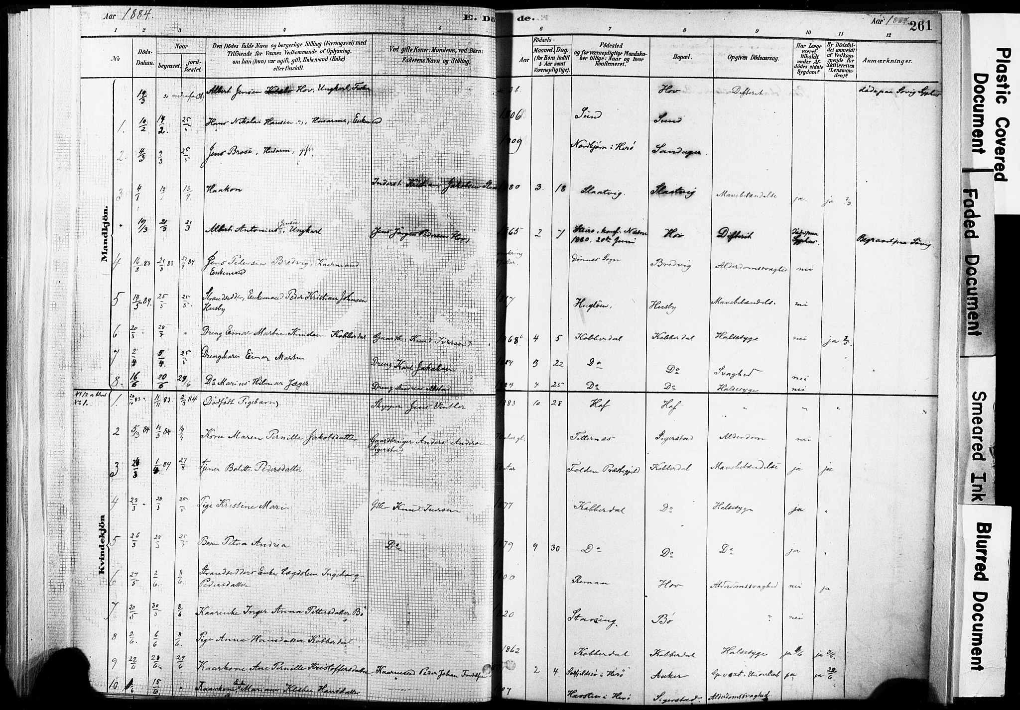 Ministerialprotokoller, klokkerbøker og fødselsregistre - Nordland, AV/SAT-A-1459/835/L0526: Parish register (official) no. 835A03II, 1881-1910, p. 261