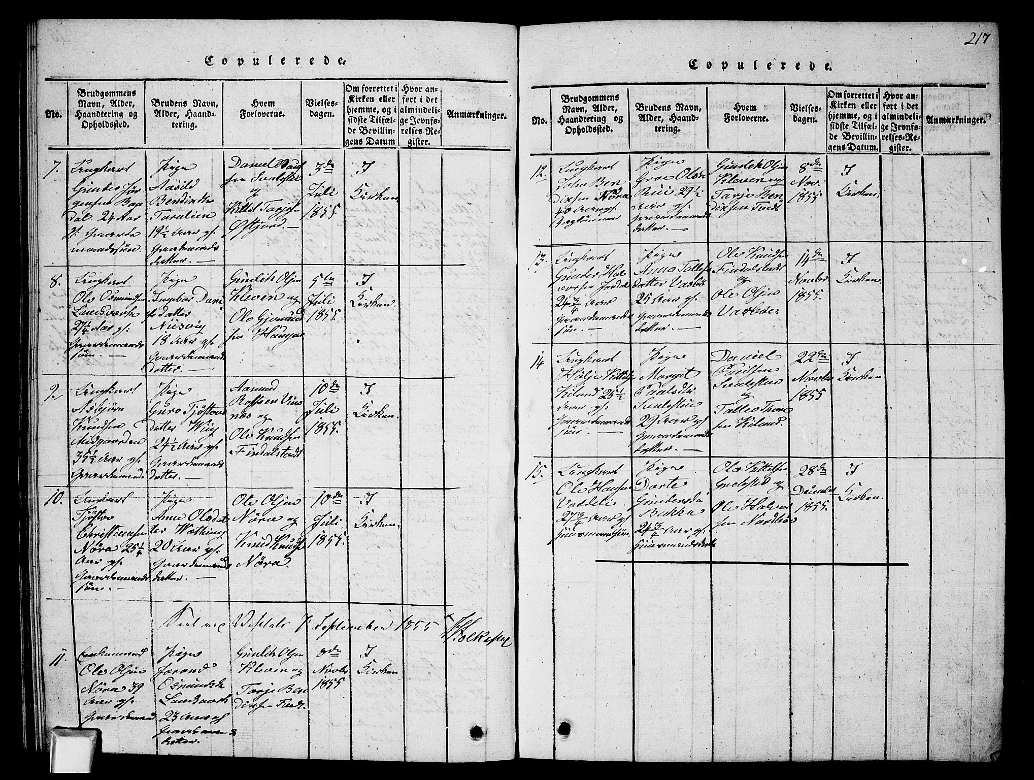 Fyresdal kirkebøker, SAKO/A-263/G/Ga/L0002: Parish register (copy) no. I 2, 1815-1857, p. 217