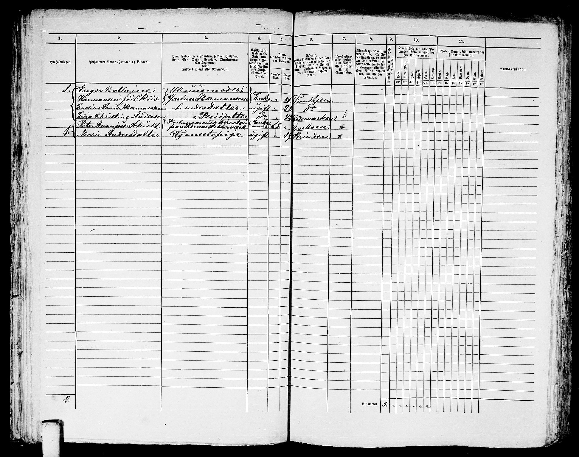 RA, 1865 census for Trondheim, 1865, p. 1241