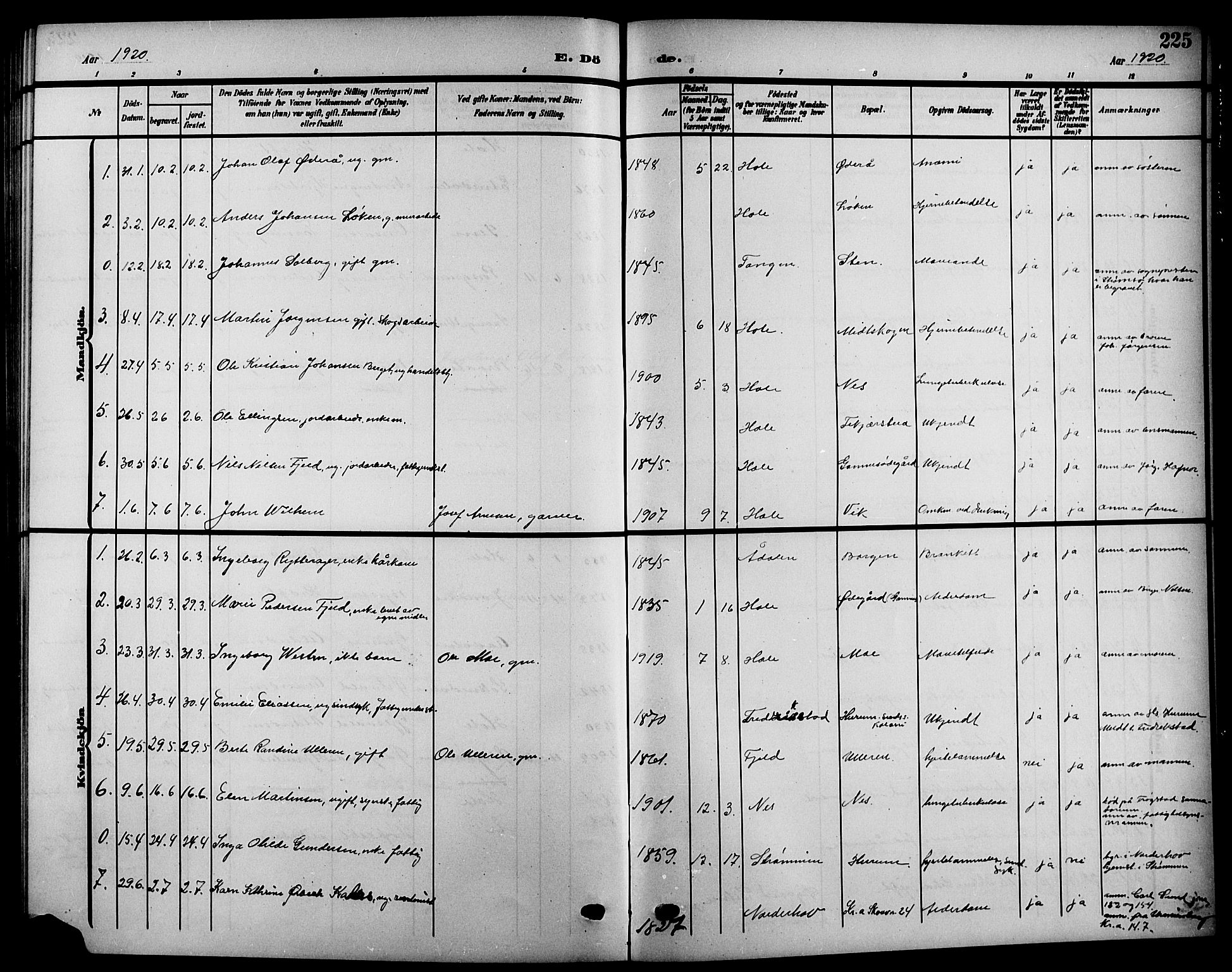 Hole kirkebøker, SAKO/A-228/G/Ga/L0004: Parish register (copy) no. I 4, 1905-1924, p. 225