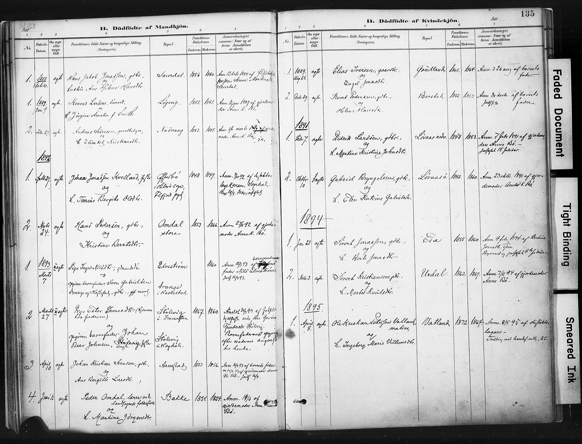 Sokndal sokneprestkontor, AV/SAST-A-101808: Parish register (official) no. A 11.1, 1887-1905, p. 135