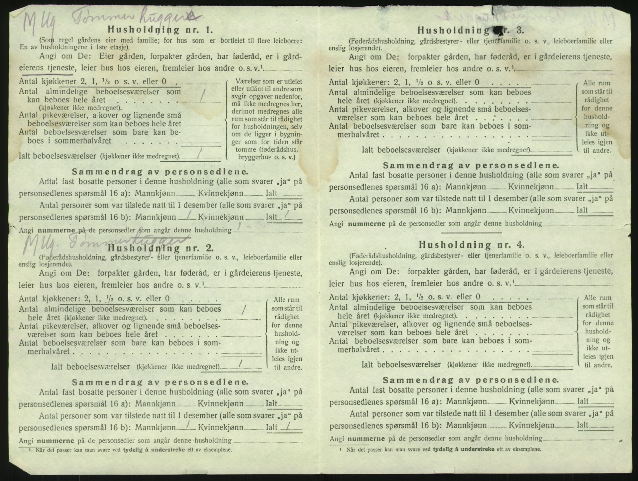 SAKO, 1920 census for Brunlanes, 1920, p. 1962