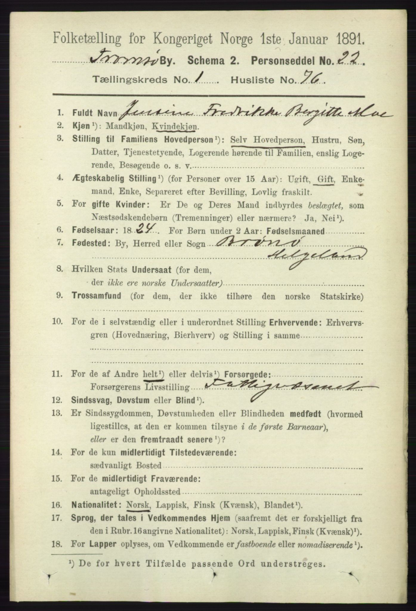 RA, 1891 census for 1902 Tromsø, 1891, p. 1067