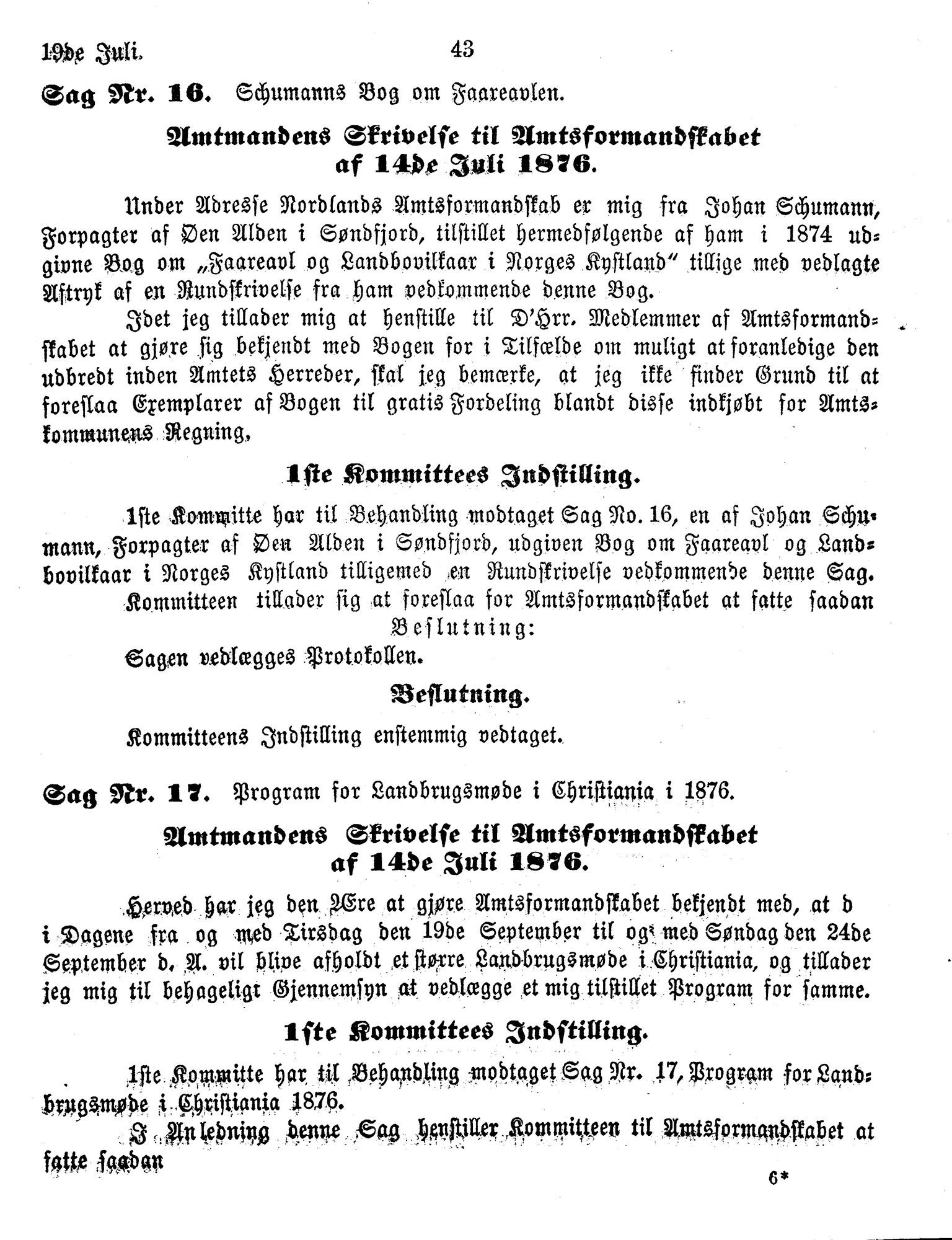 Nordland Fylkeskommune. Fylkestinget, AIN/NFK-17/176/A/Ac/L0010: Fylkestingsforhandlinger 1874-1880, 1874-1880