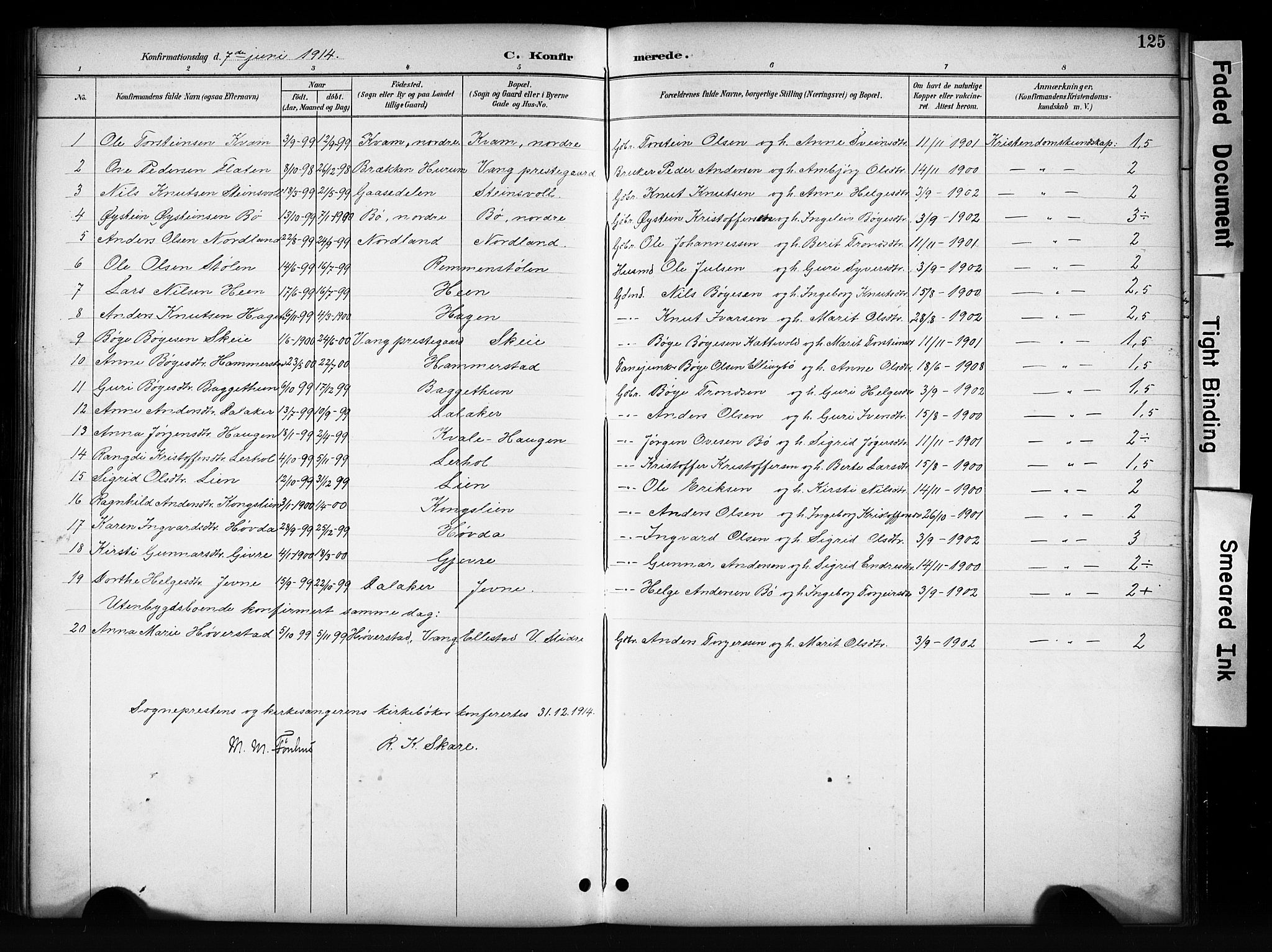 Vang prestekontor, Valdres, SAH/PREST-140/H/Hb/L0006: Parish register (copy) no. 6, 1893-1918, p. 125