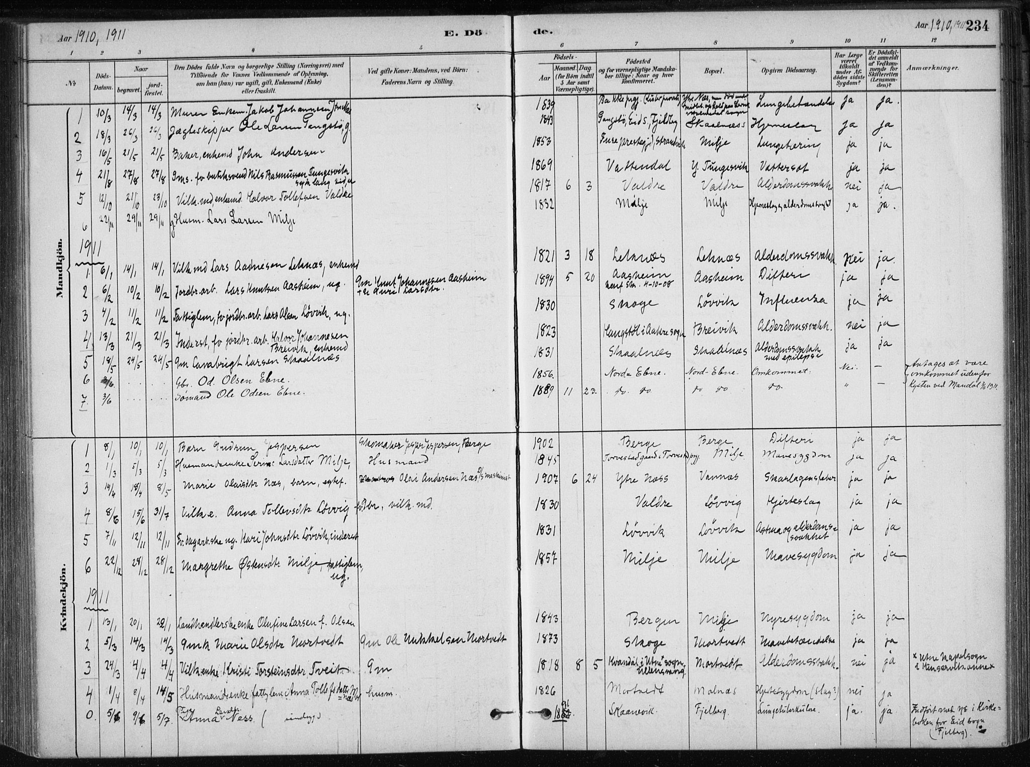 Skånevik sokneprestembete, SAB/A-77801/H/Haa: Parish register (official) no. B 1, 1879-1914, p. 234