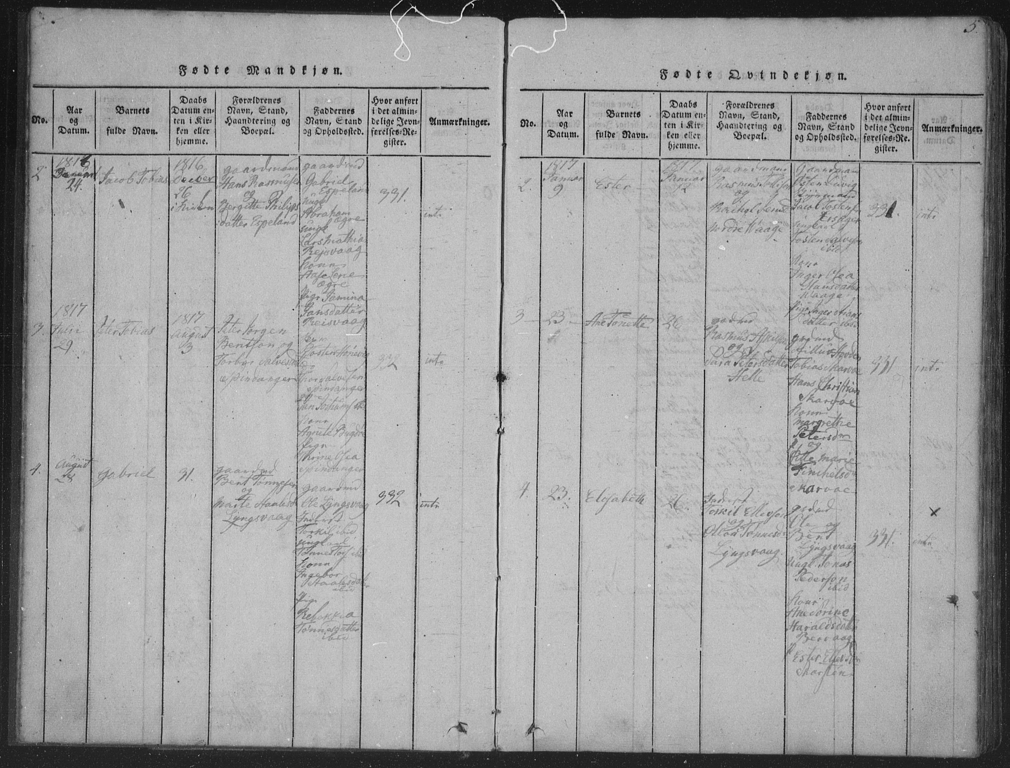 Herad sokneprestkontor, SAK/1111-0018/F/Fa/Fab/L0002: Parish register (official) no. A 2, 1816-1844, p. 5