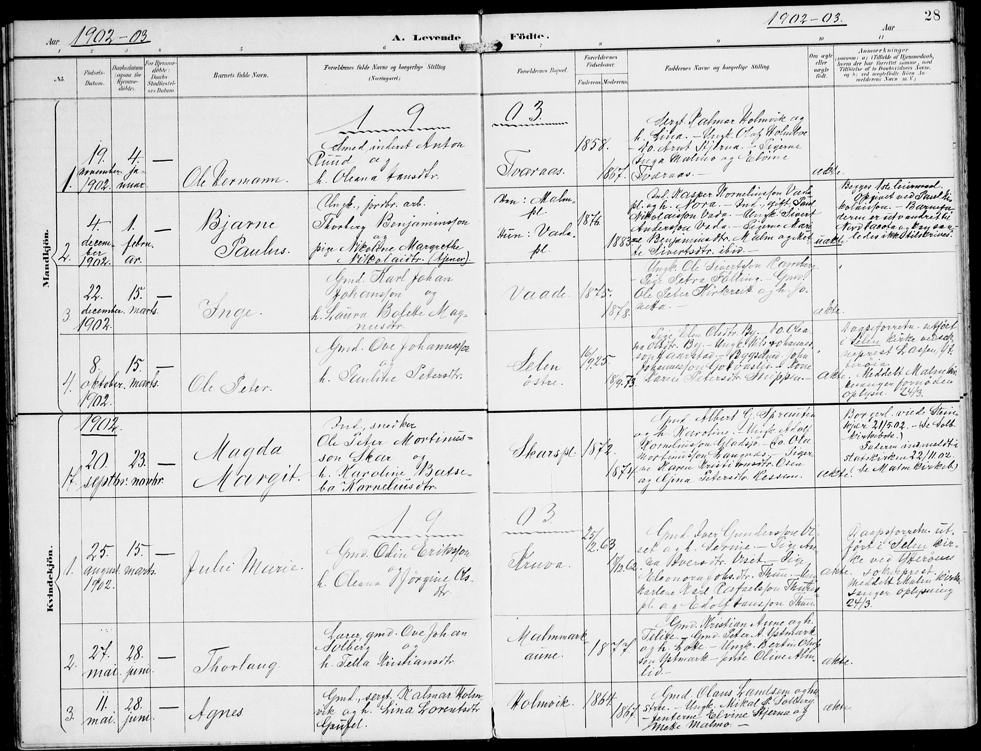 Ministerialprotokoller, klokkerbøker og fødselsregistre - Nord-Trøndelag, SAT/A-1458/745/L0430: Parish register (official) no. 745A02, 1895-1913, p. 28