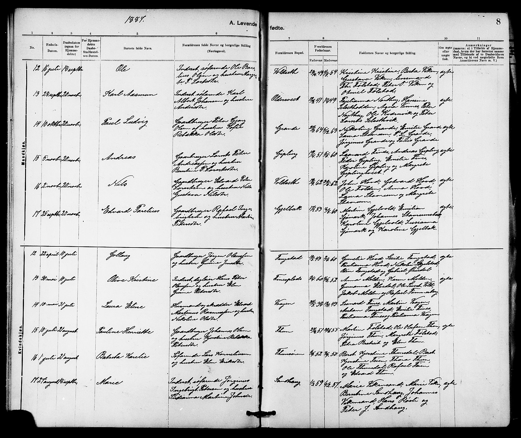 Ministerialprotokoller, klokkerbøker og fødselsregistre - Nord-Trøndelag, AV/SAT-A-1458/744/L0423: Parish register (copy) no. 744C02, 1886-1905, p. 8