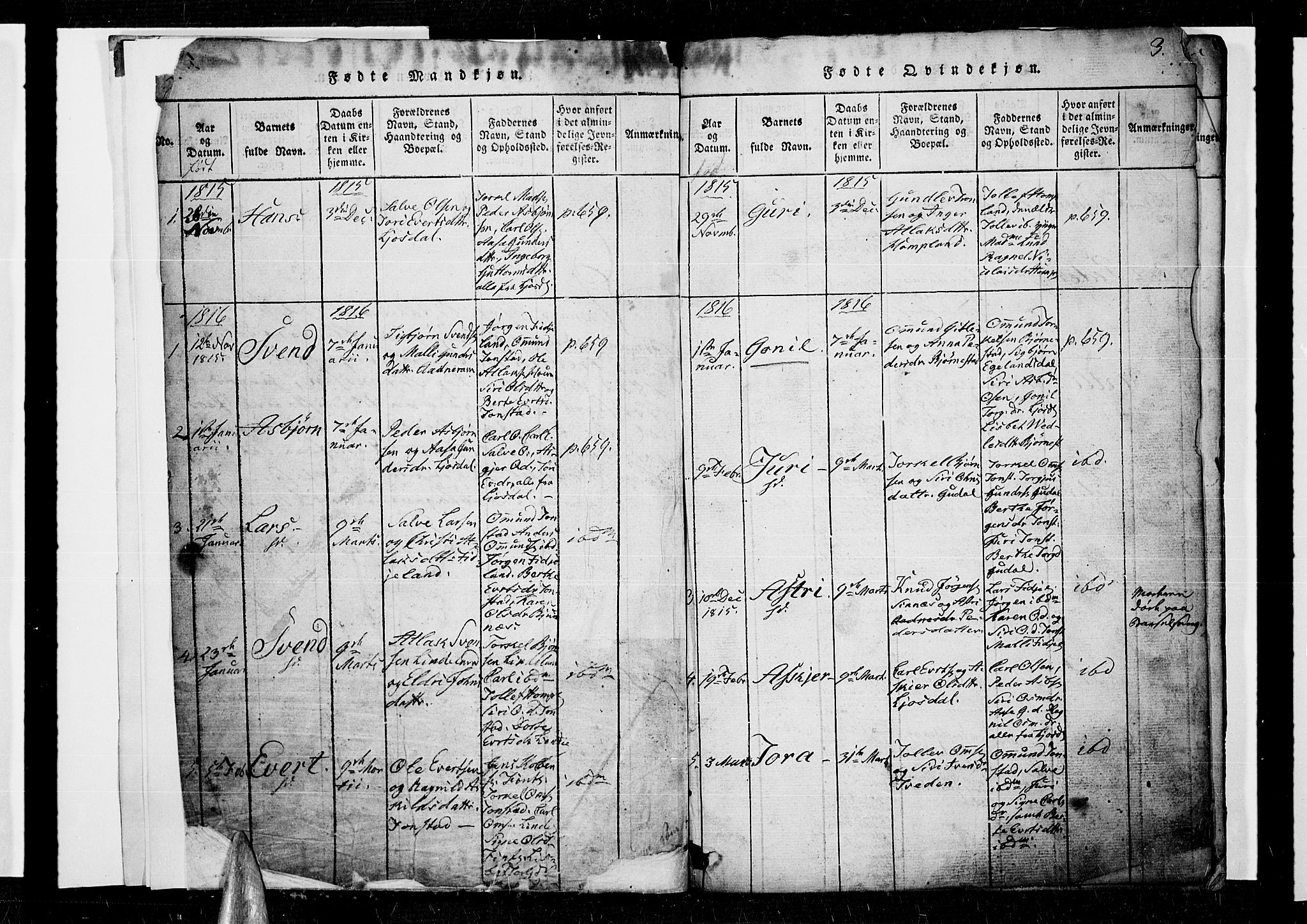 Sirdal sokneprestkontor, SAK/1111-0036/F/Fb/Fbb/L0001: Parish register (copy) no. B 1, 1815-1834, p. 2-3